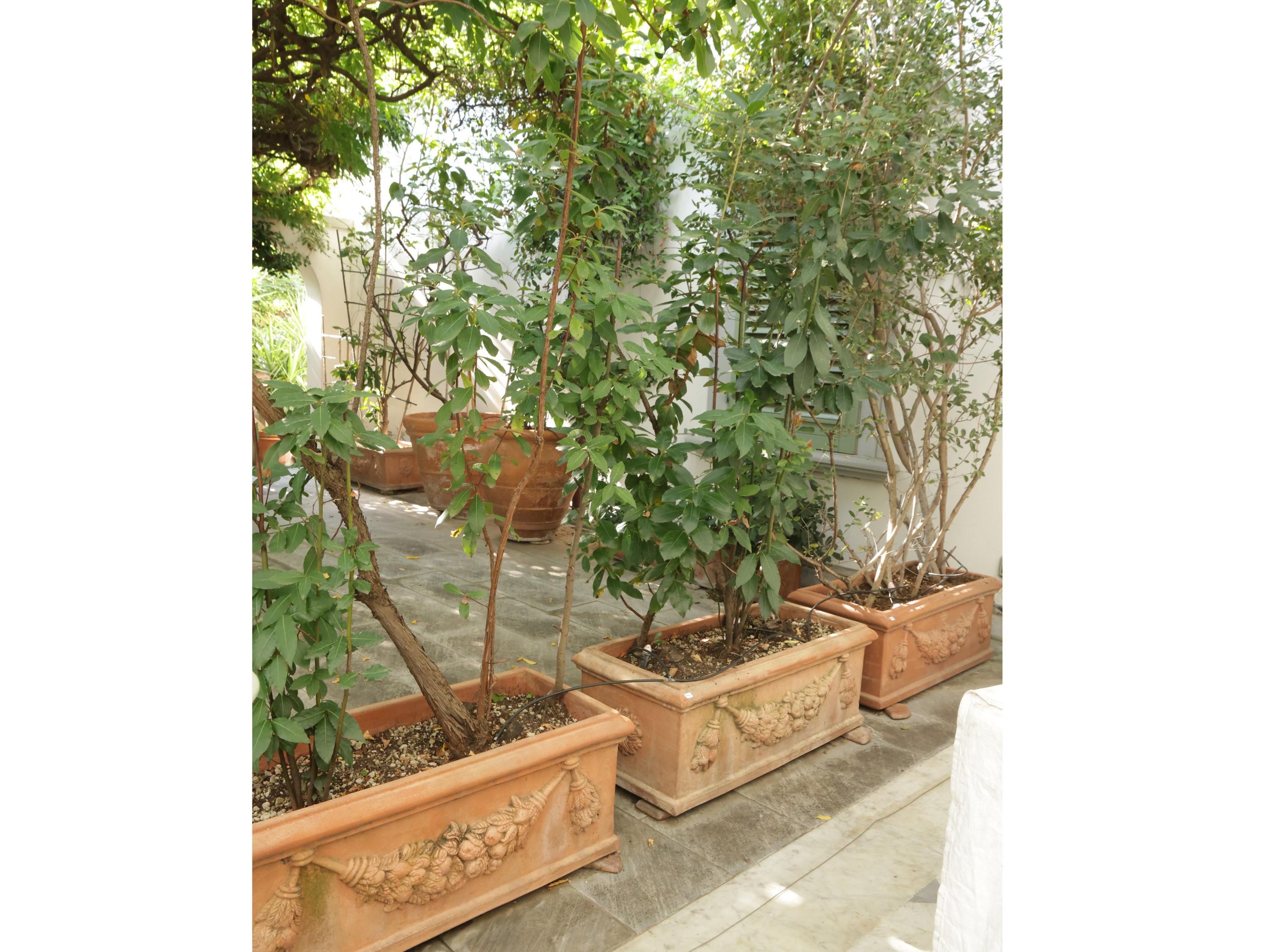 Serie di Tre Grando Vasi a Cassetta in Terracotta, Archeo Impruneta