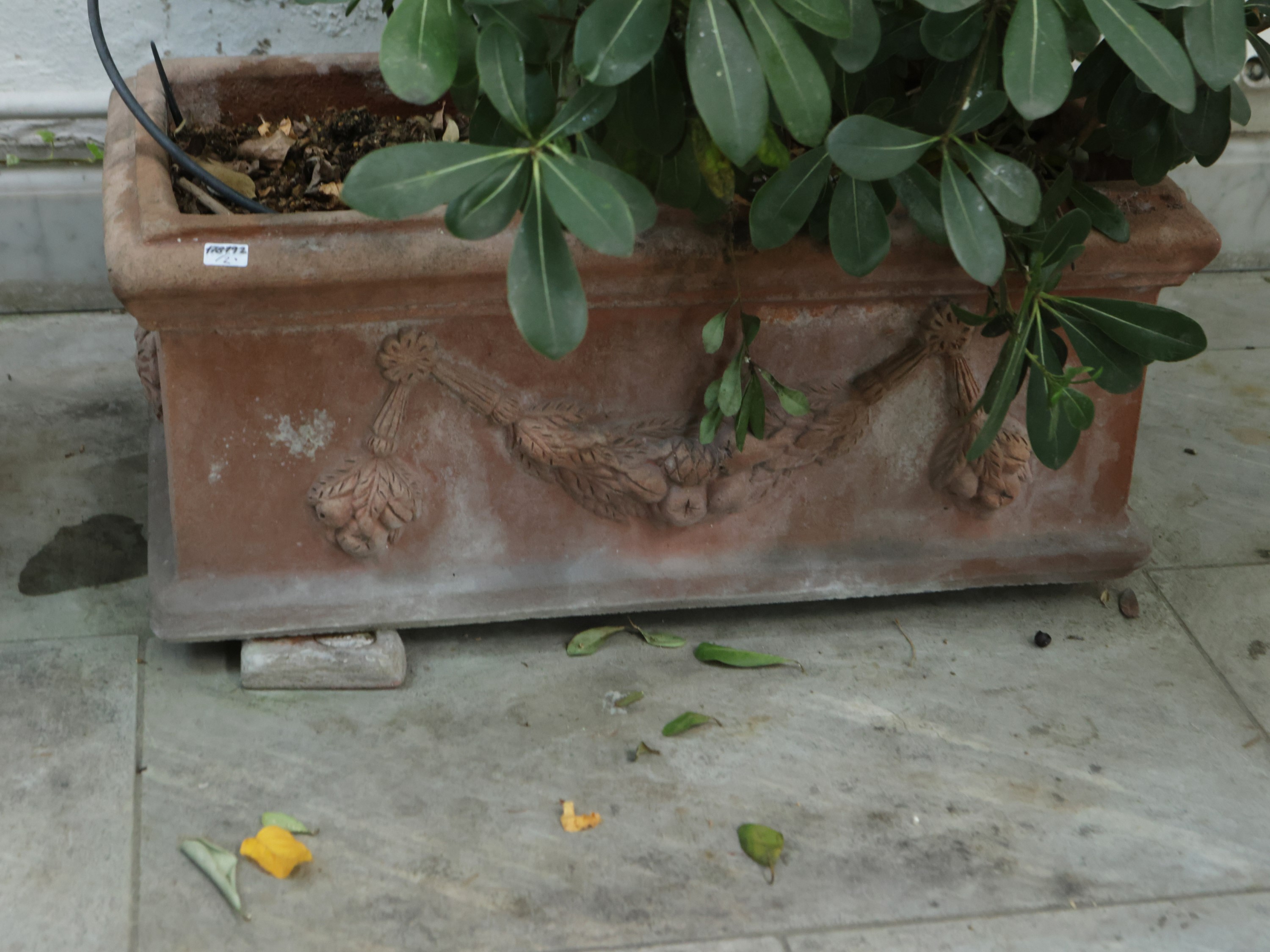 Due Vasi a Cassetta in Terracotta