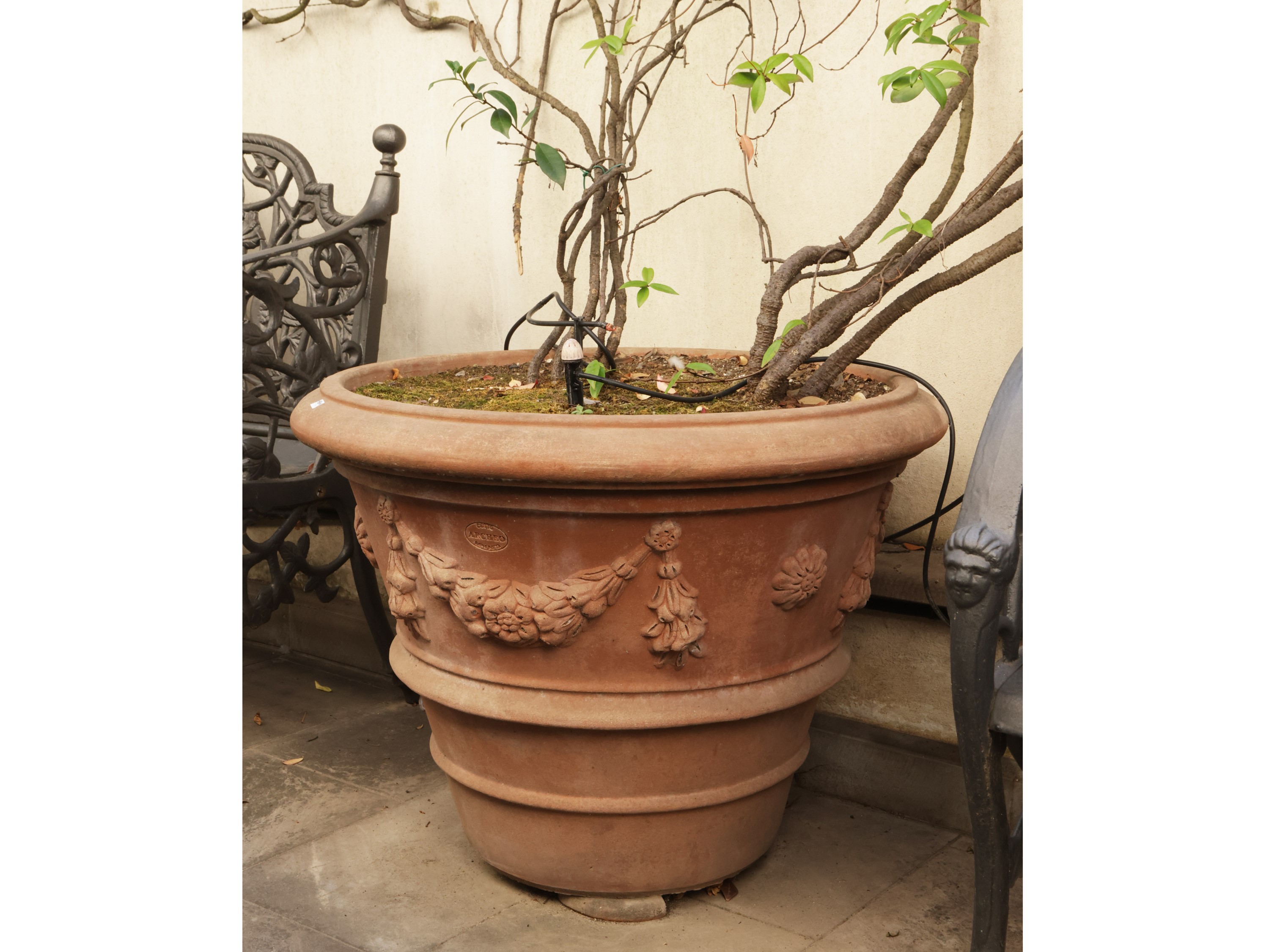 Vaso a Conca in Terracotta