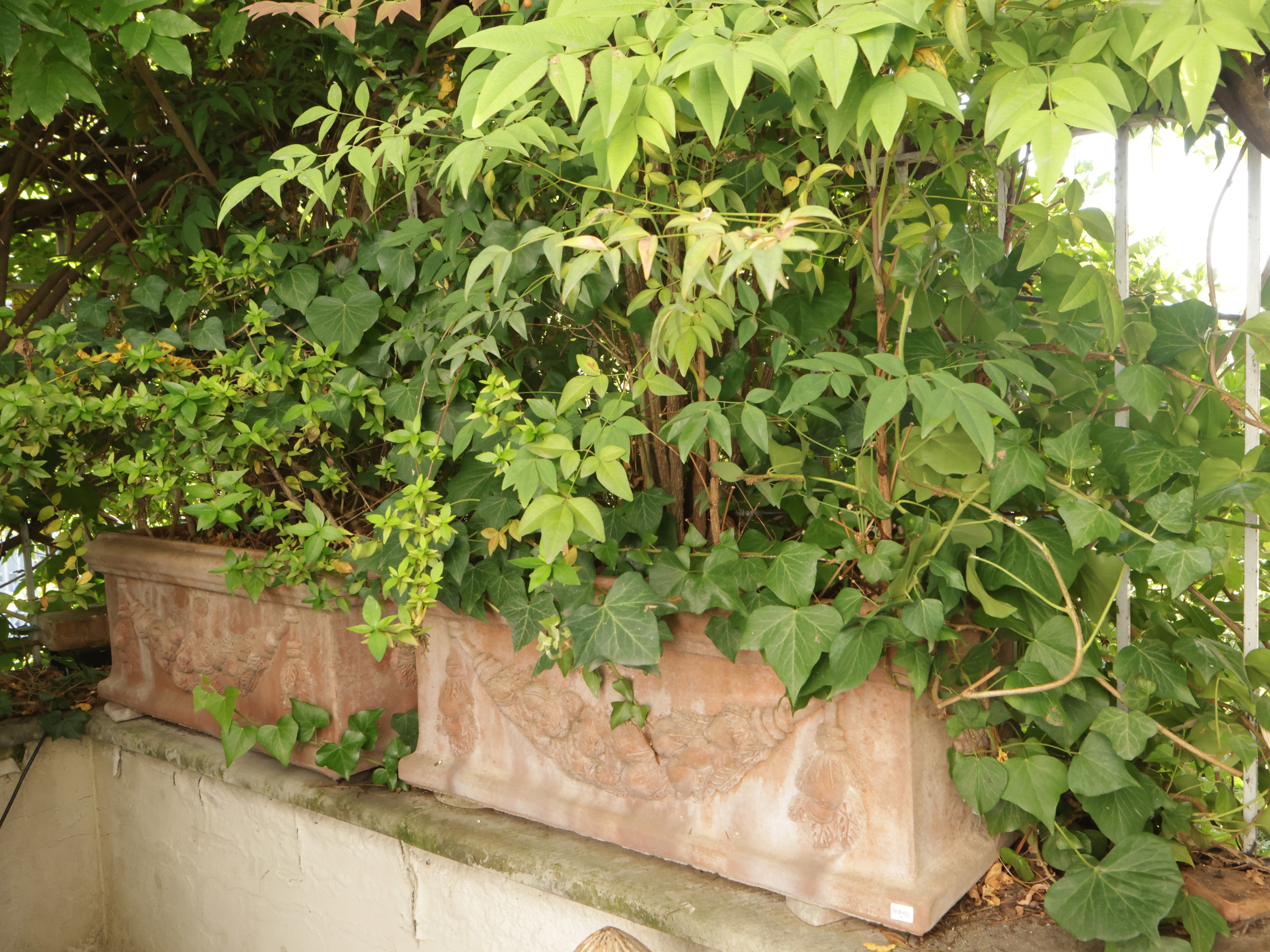 Serie di Tre Vasi a Cassetta in Terracotta, Archeo Impruneta