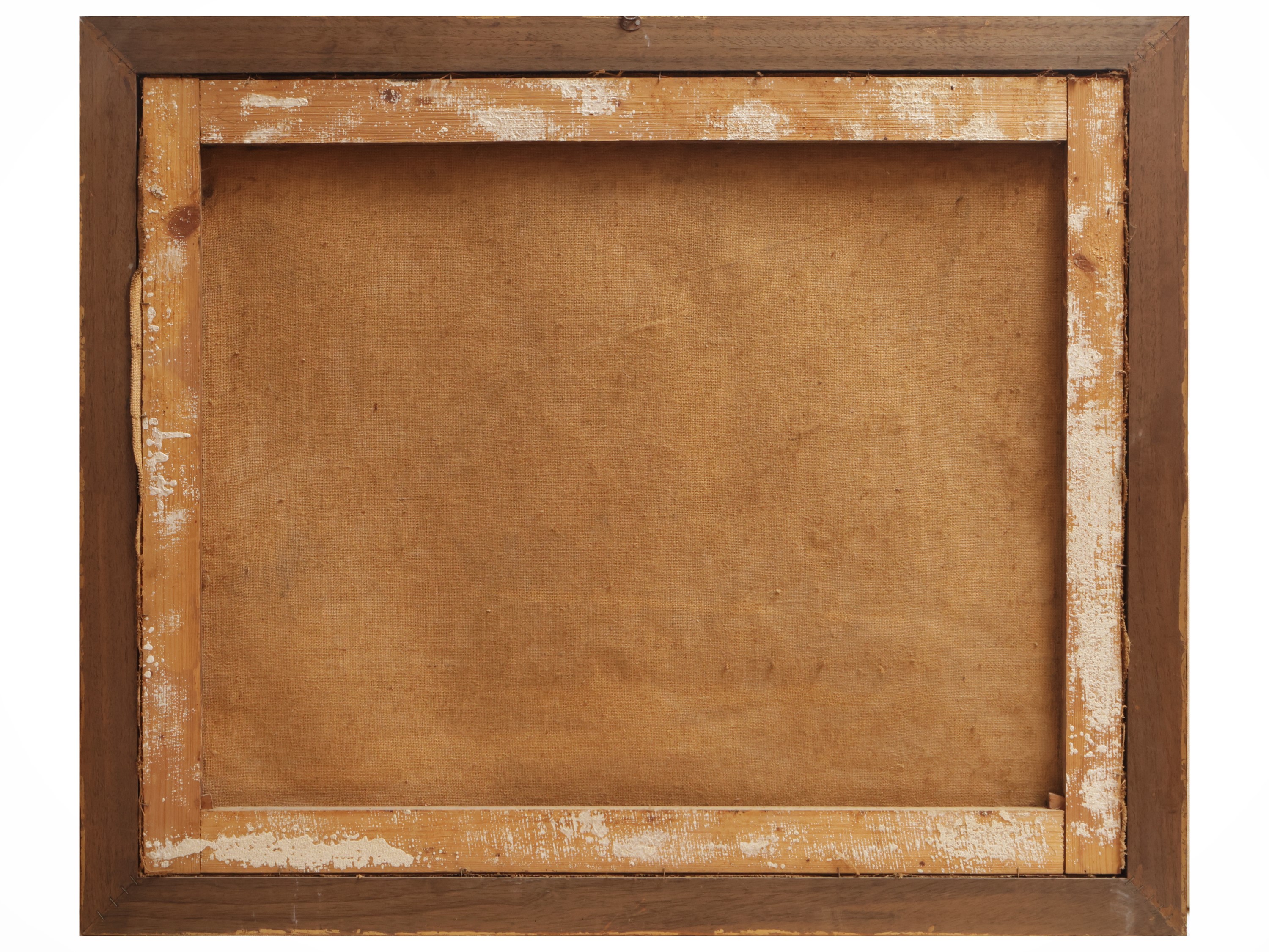 Scuola Napoletana del XVIII Secolo - Trionfo di frutta, olio su tela