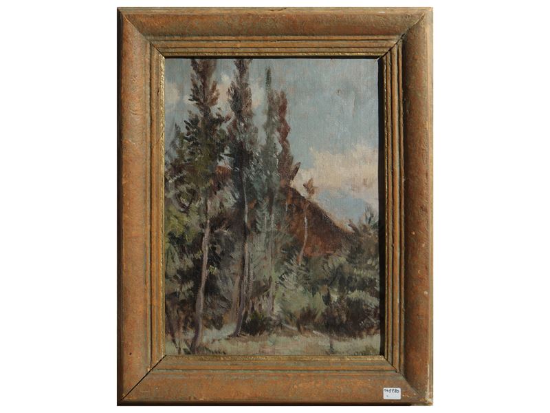 Paesaggio boschivo