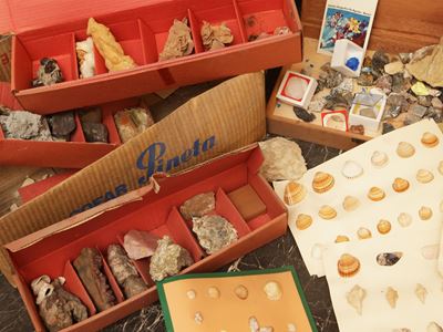 Collezione di minerali, vari esemplari