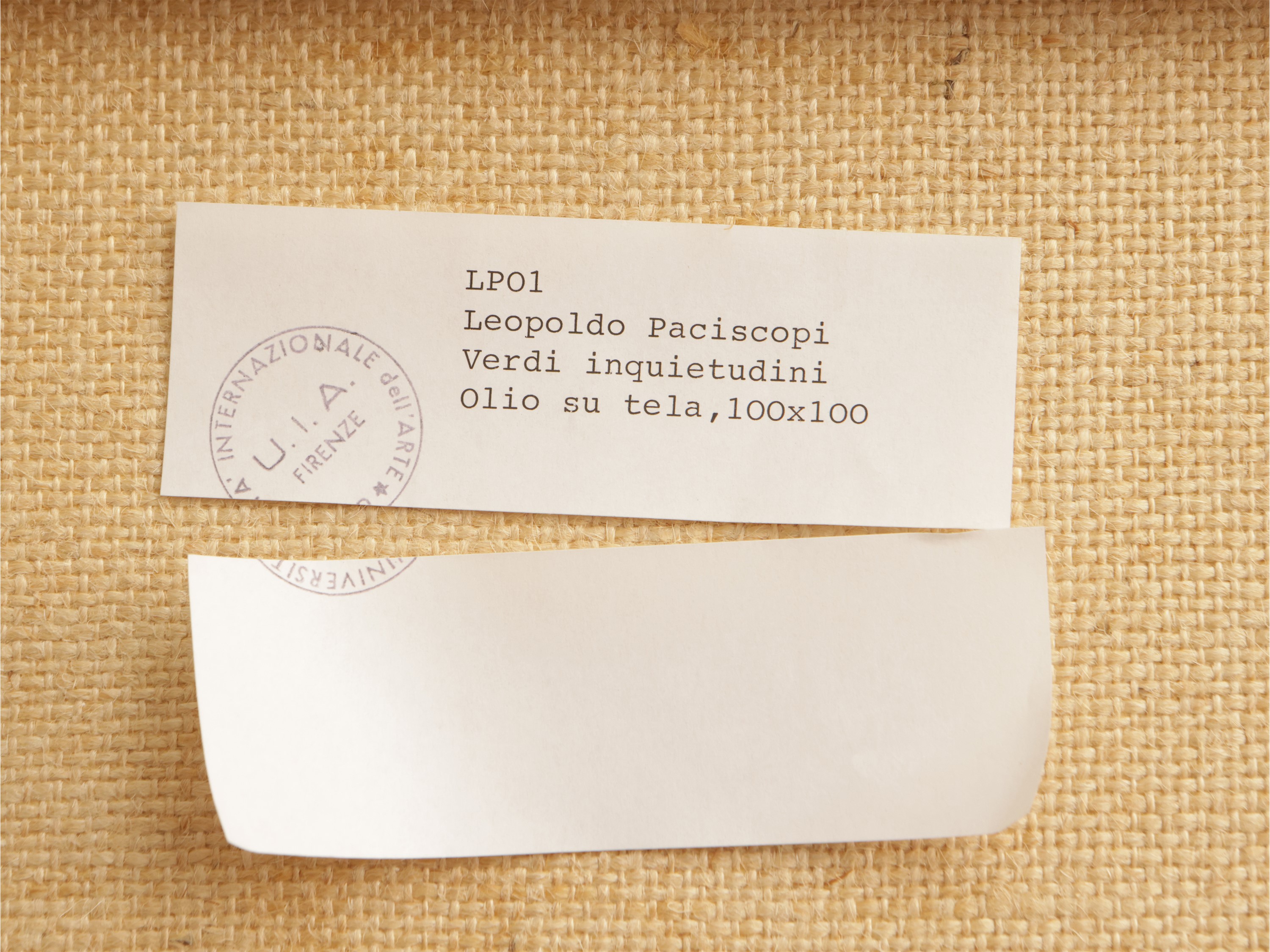 Verdi inquietudini