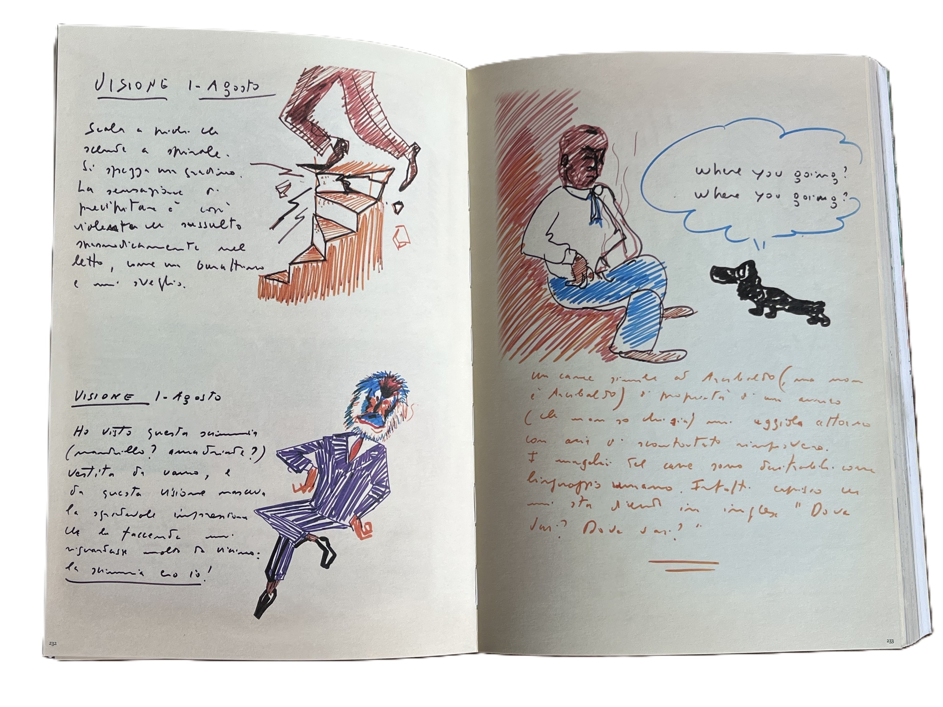 Federico Fellini, Il libro dei sogni, manoscritto