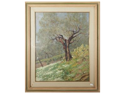 Oliveto