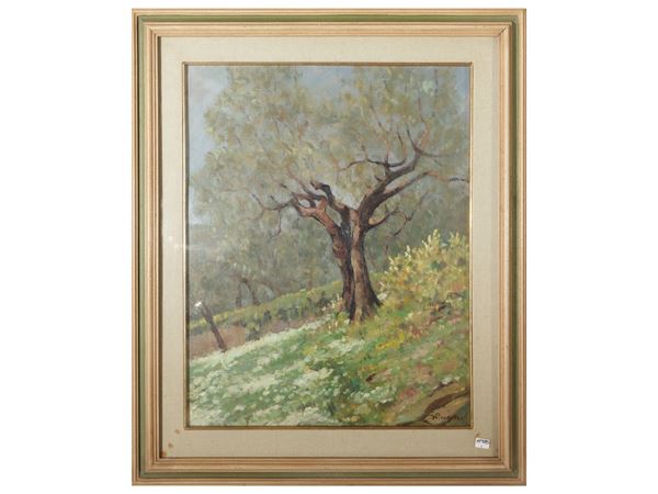 Ferruccio Pizzanelli - Oliveto