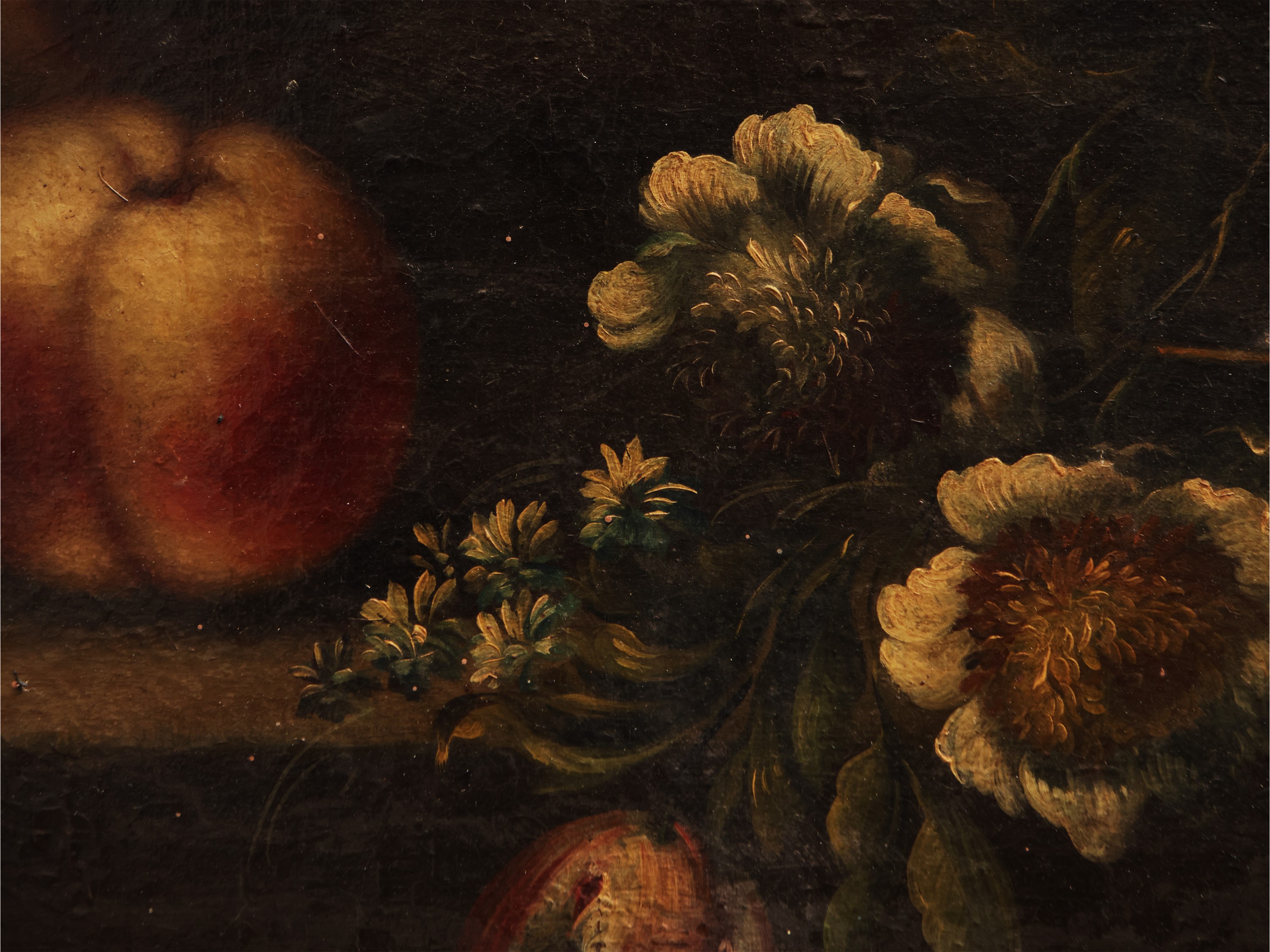 Autore ignoto, Trionfo di fiori, frutti e cardellino, olio su tela