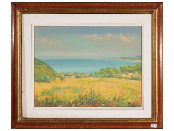 Luigi Falai - Cala di Forno, Maremma toscana
