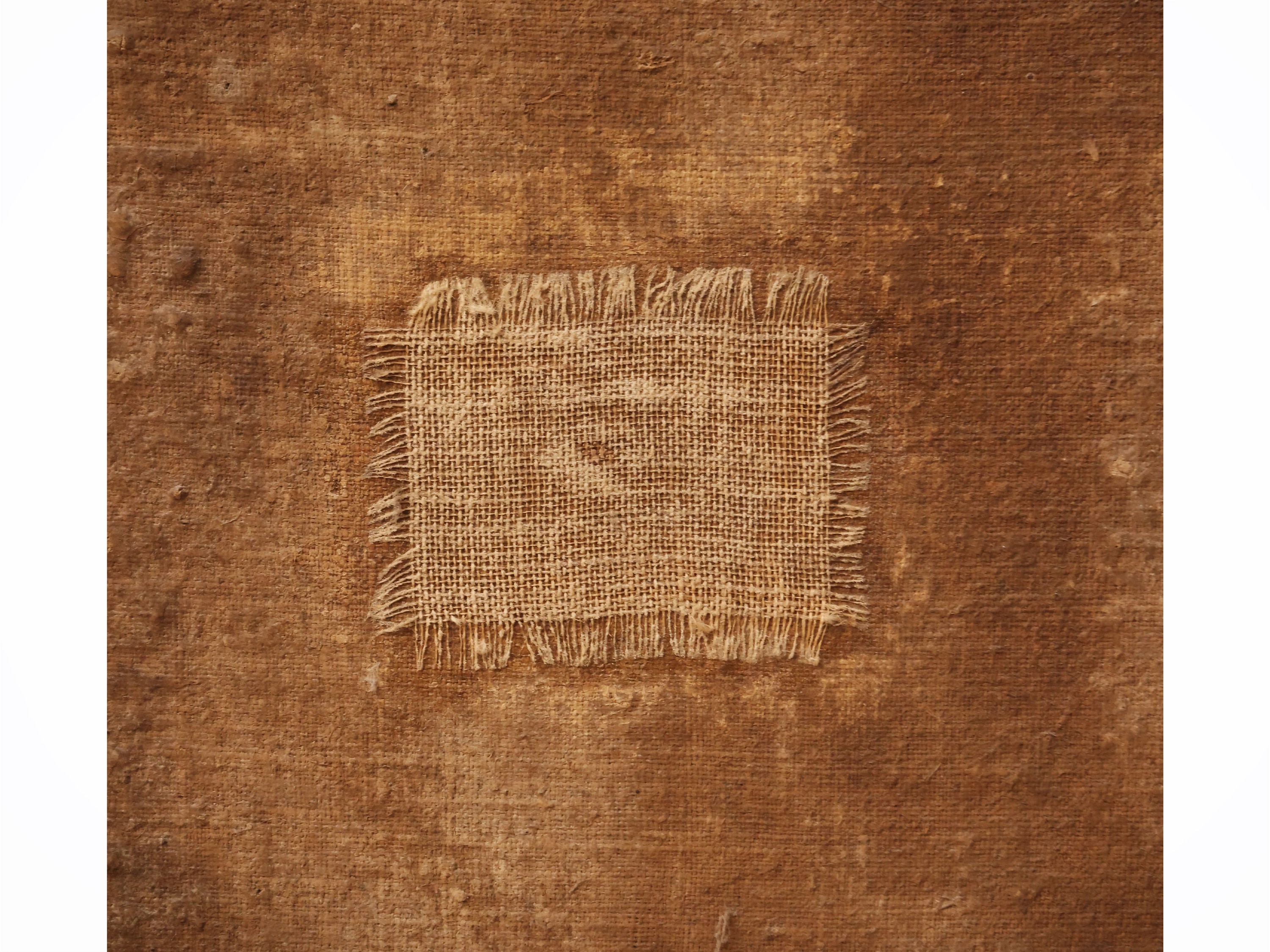 Ritratto di gentildonna