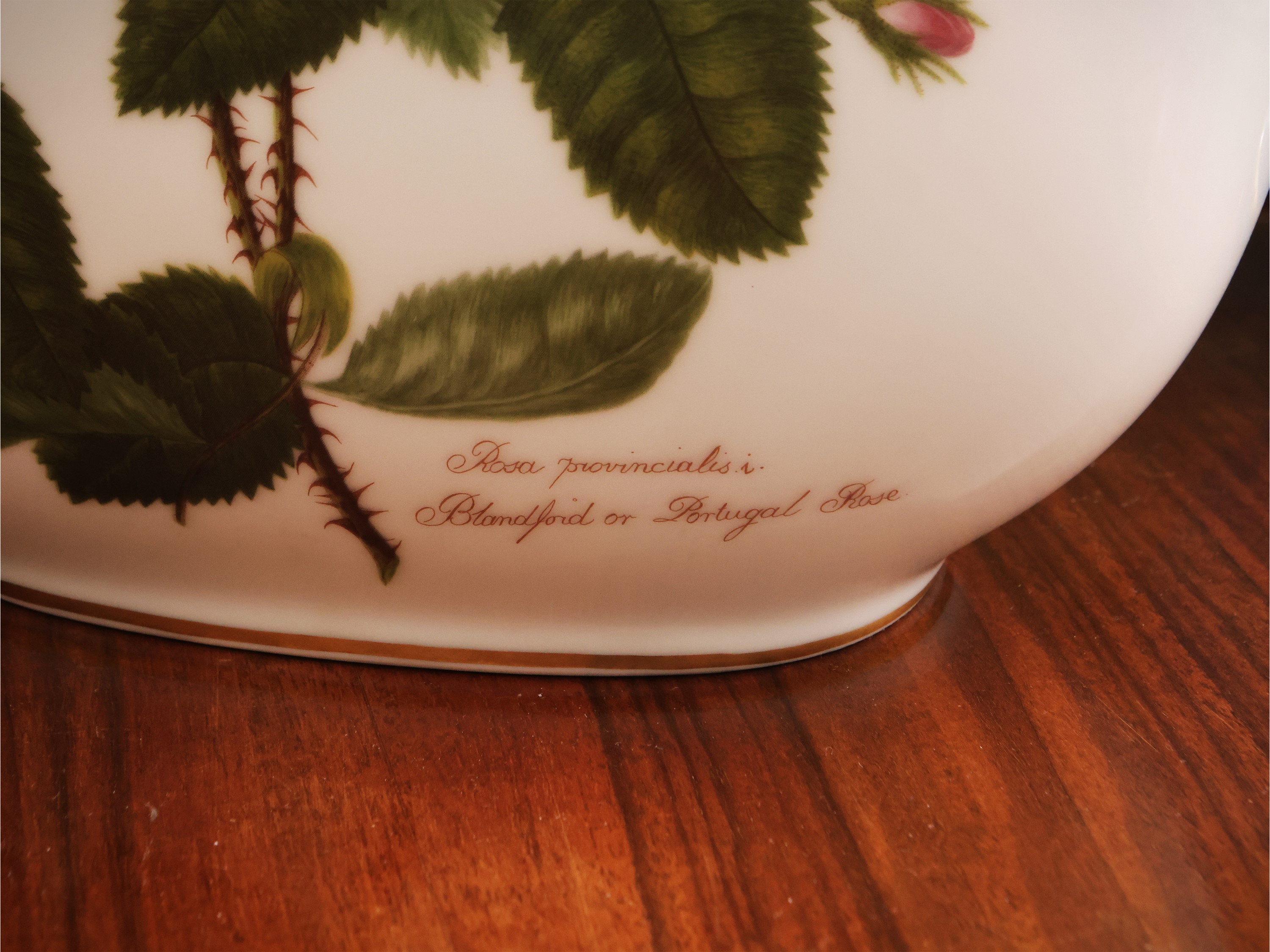 Rosenthal, Grande vaso in porcellana con motivo botanico di rose