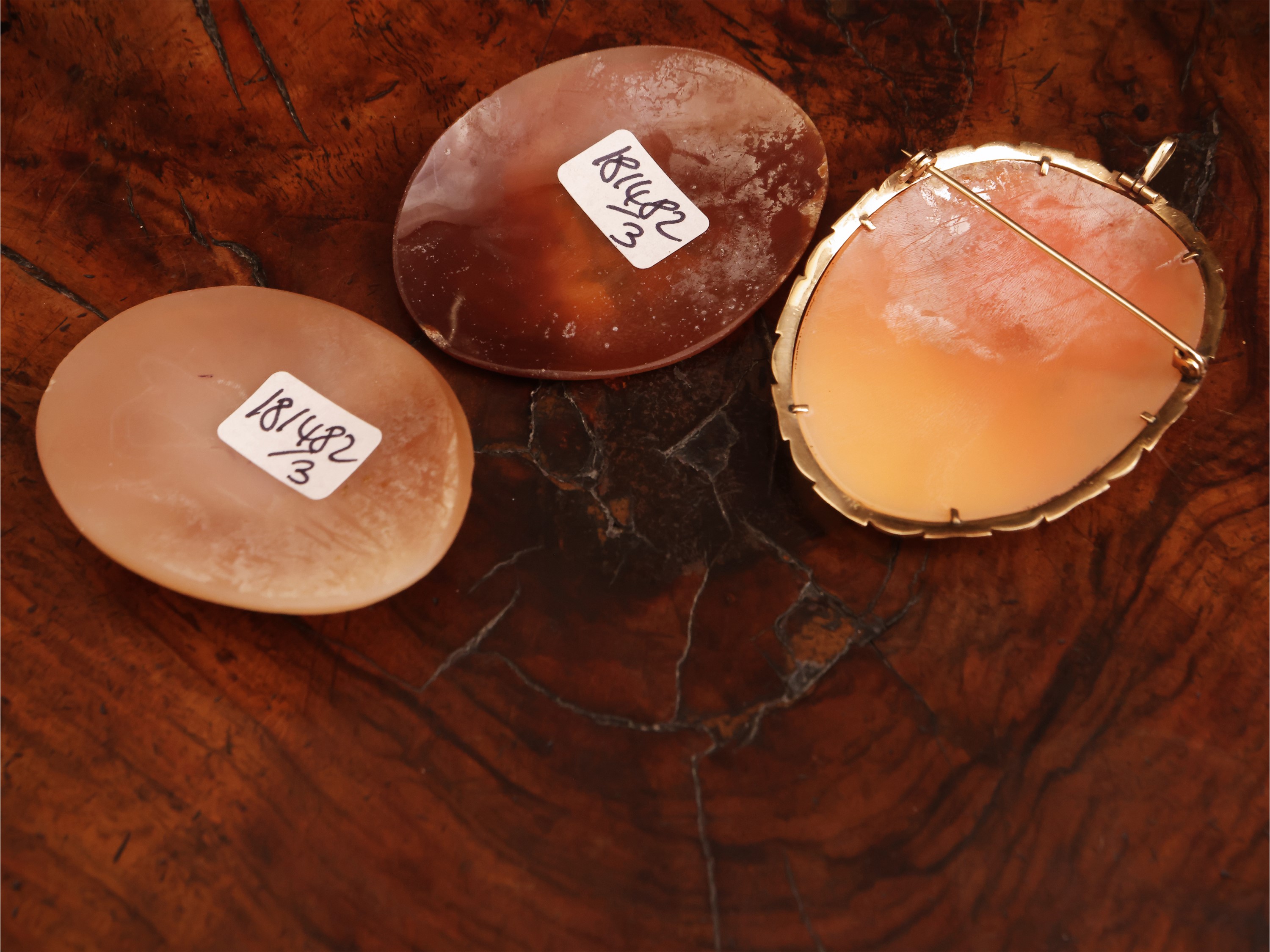 Spilla-pendente con cammeo in conchiglia e oro 14 Kt