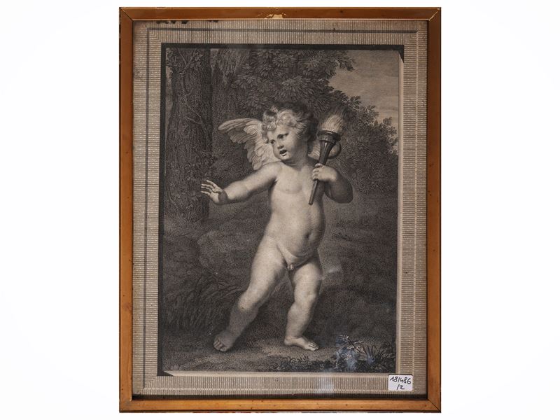 Amorini