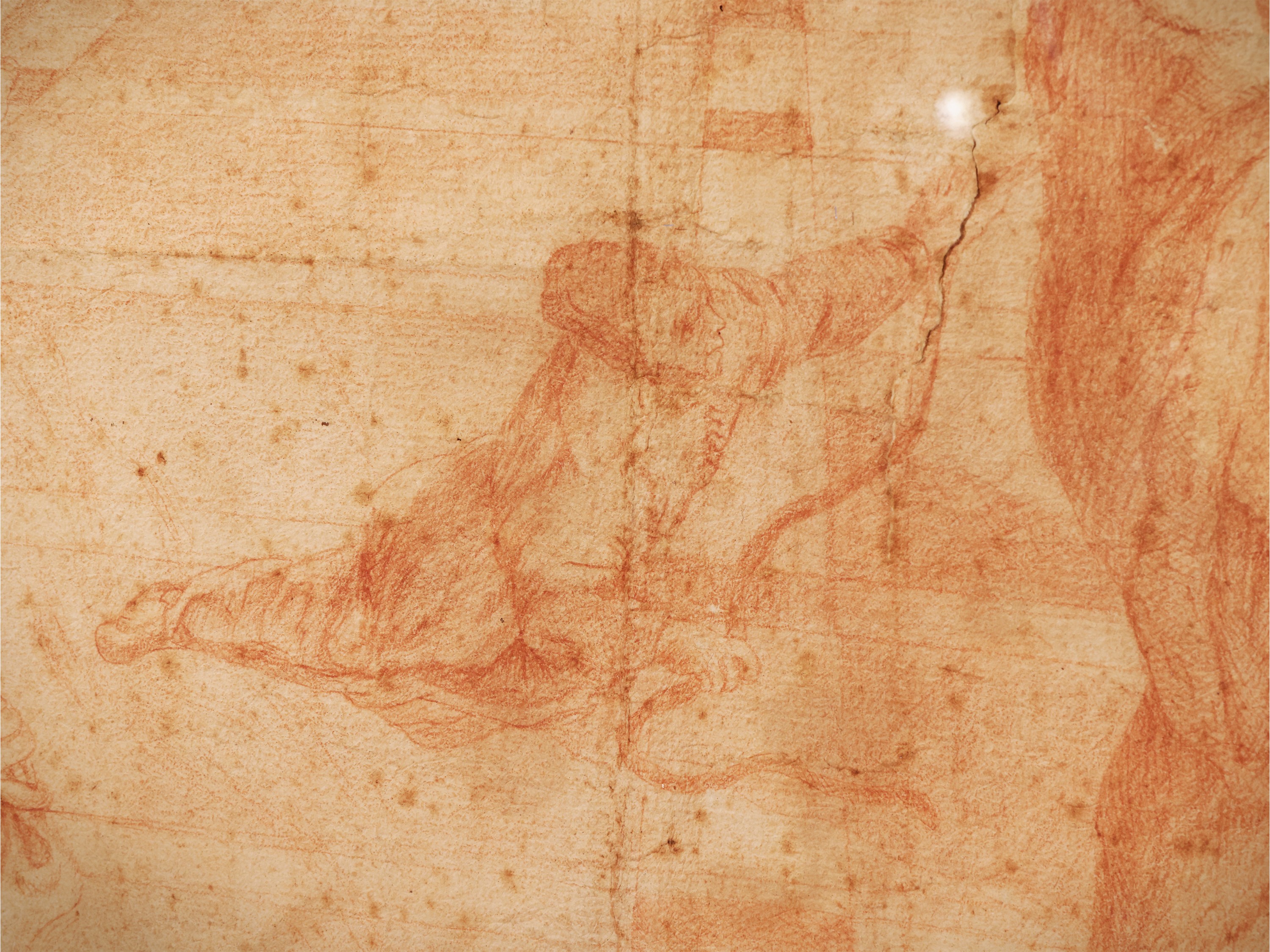 Scuola Veneta del XVII Secolo - Messa in salvo del corpo di San Marco