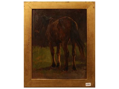 Cavallo, olio su tavoletta