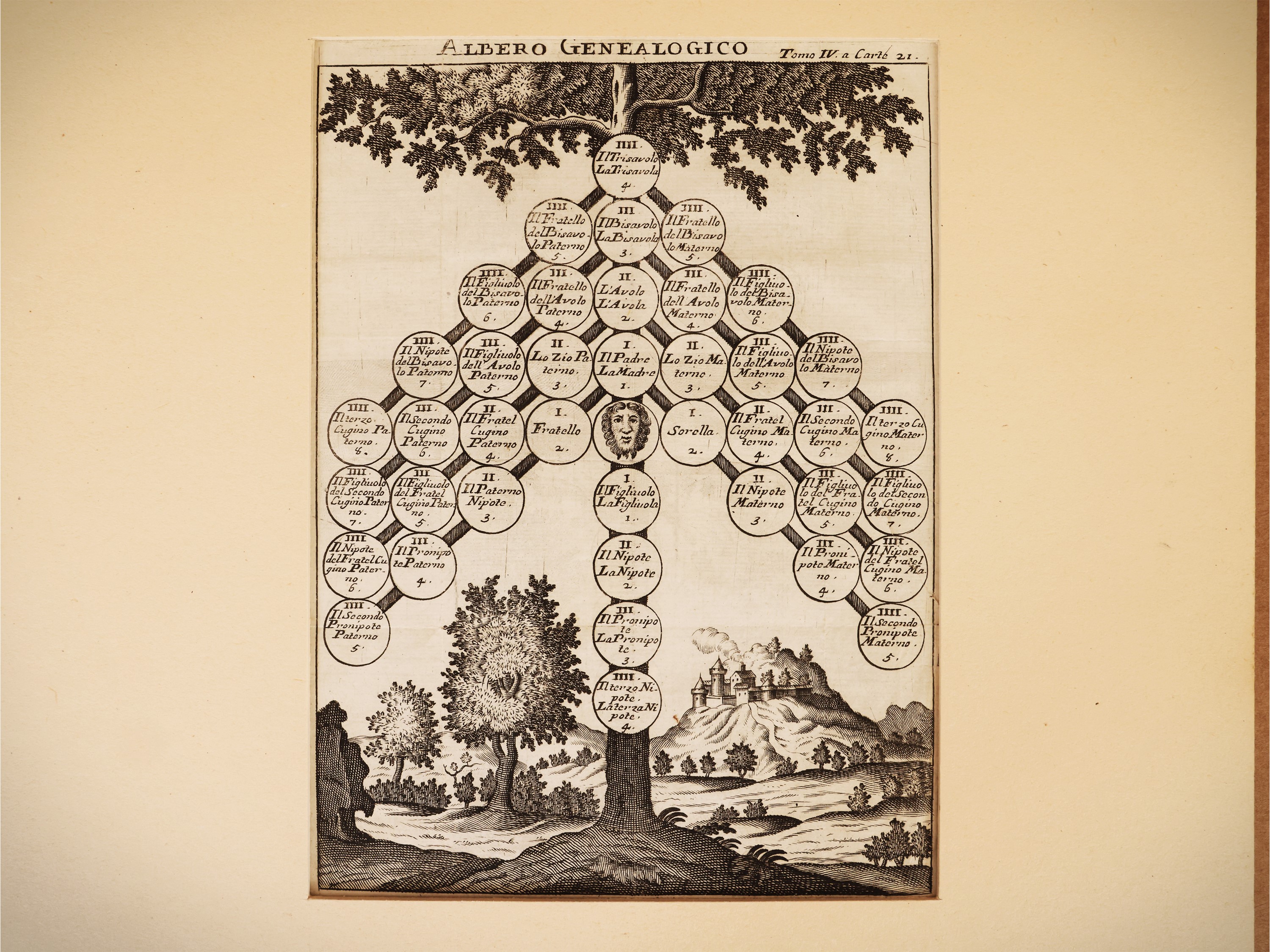Albero genealogico, incisione del XVIII secolo (Venezia, Stamperia Baglioni, 1720)