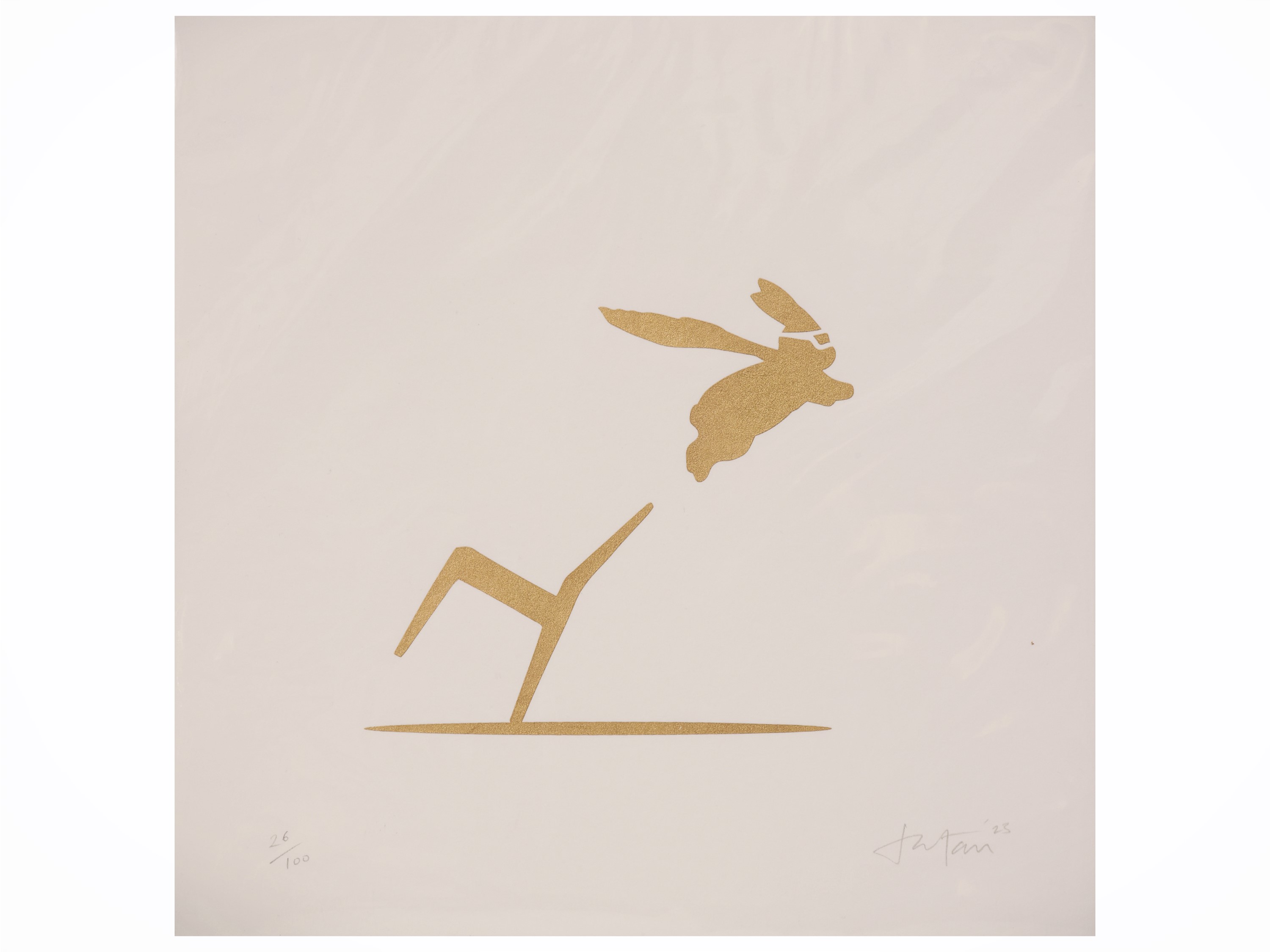 Lotto di grafica: Jo Ham, Rachael Beresh e Worthwhile Paper Studio