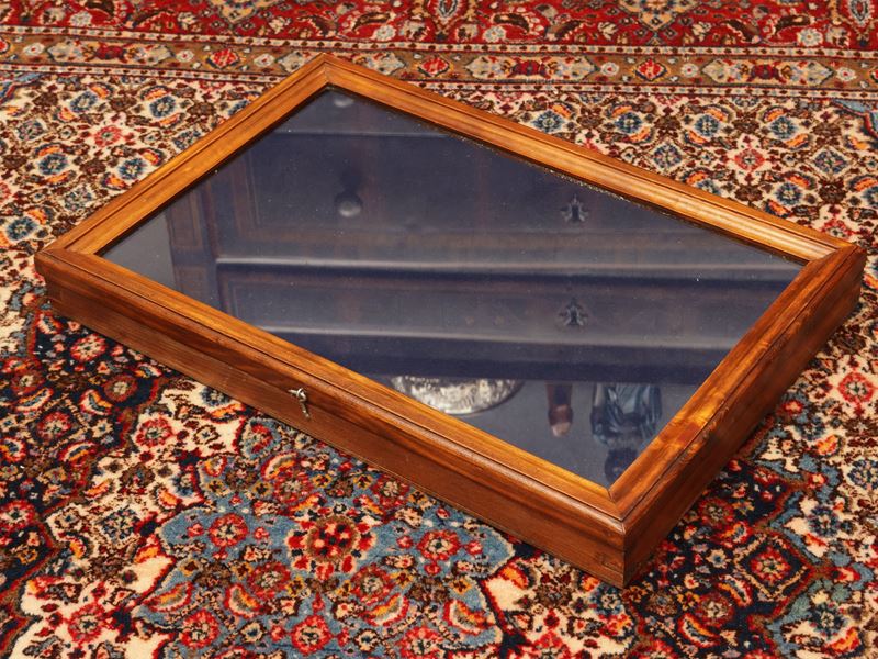 Teca per collezioni in noce