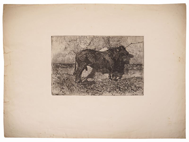 Giovanni Fattori - Il toro, acquaforte