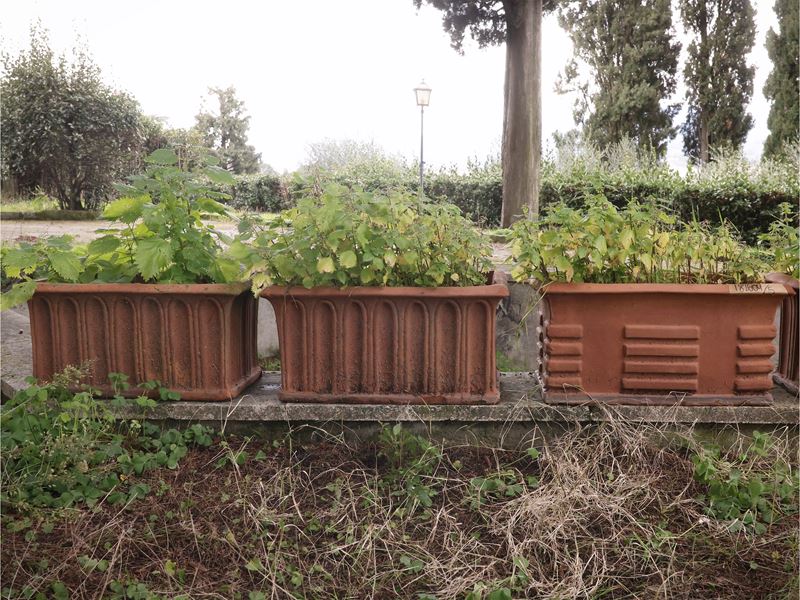 Cinque vasi a cassetta in terracotta