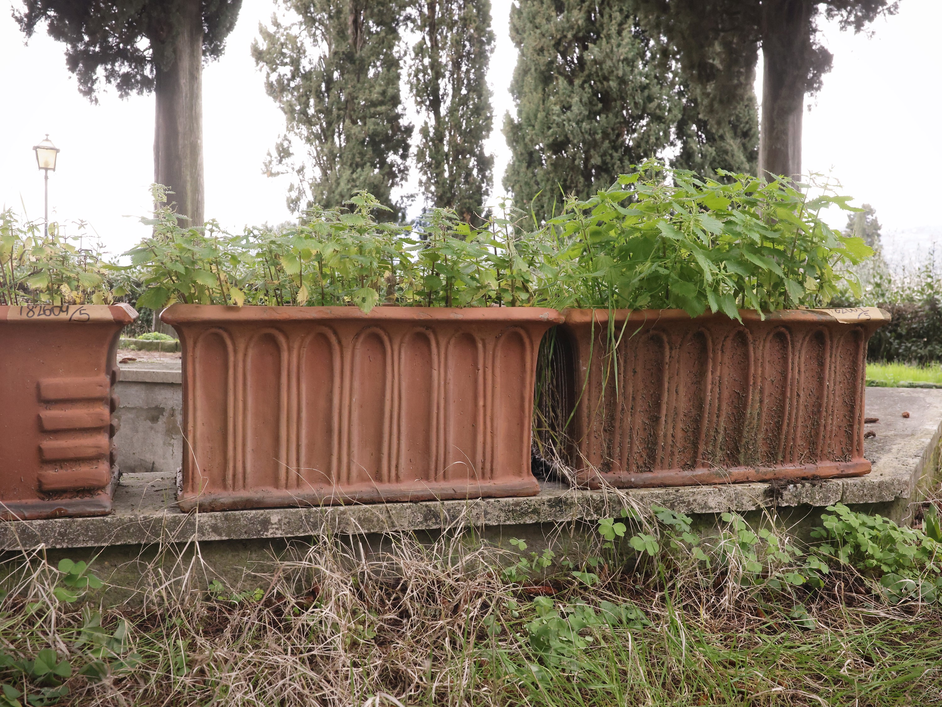 Cinque vasi a cassetta in terracotta