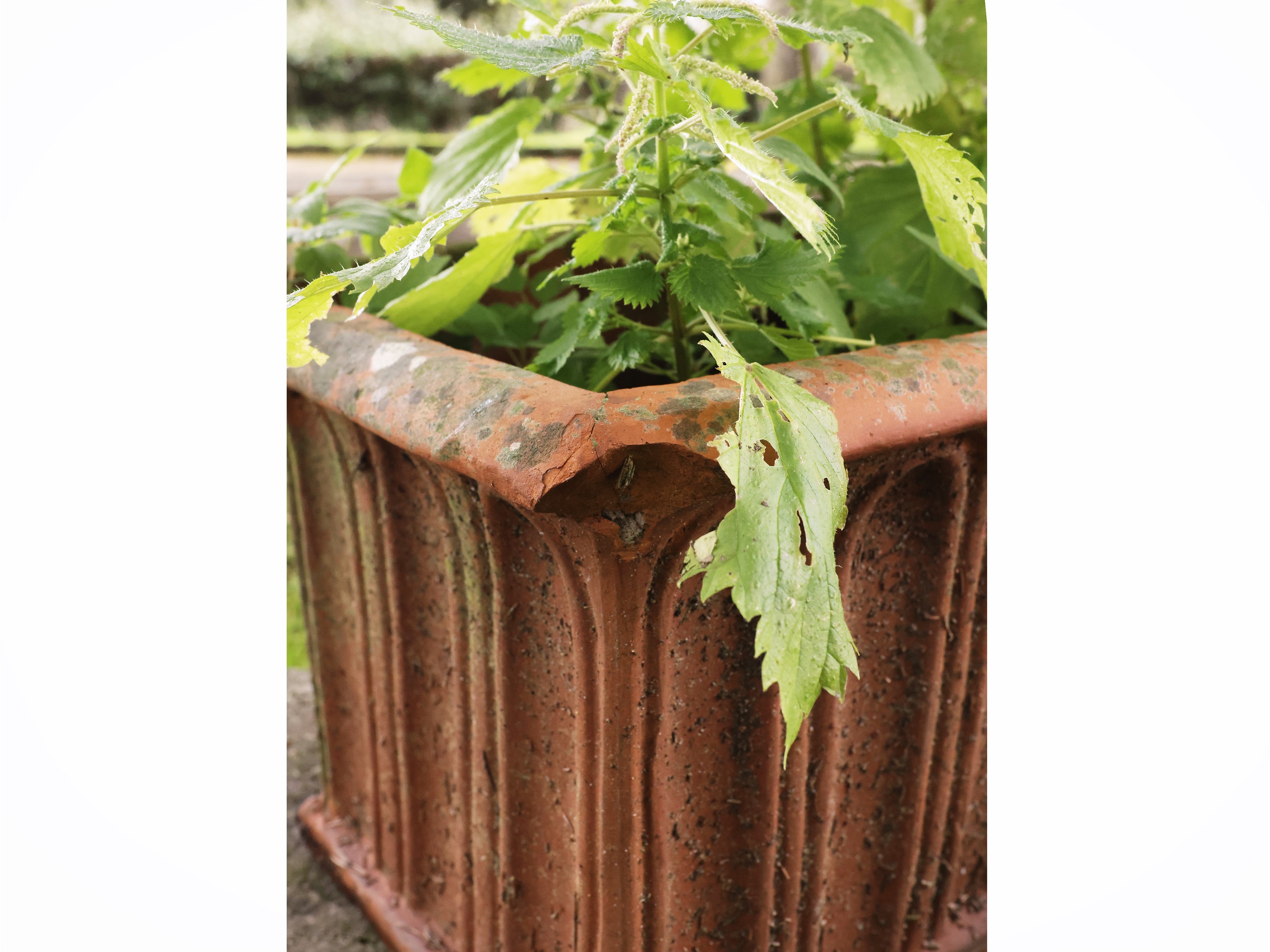 Cinque vasi a cassetta in terracotta