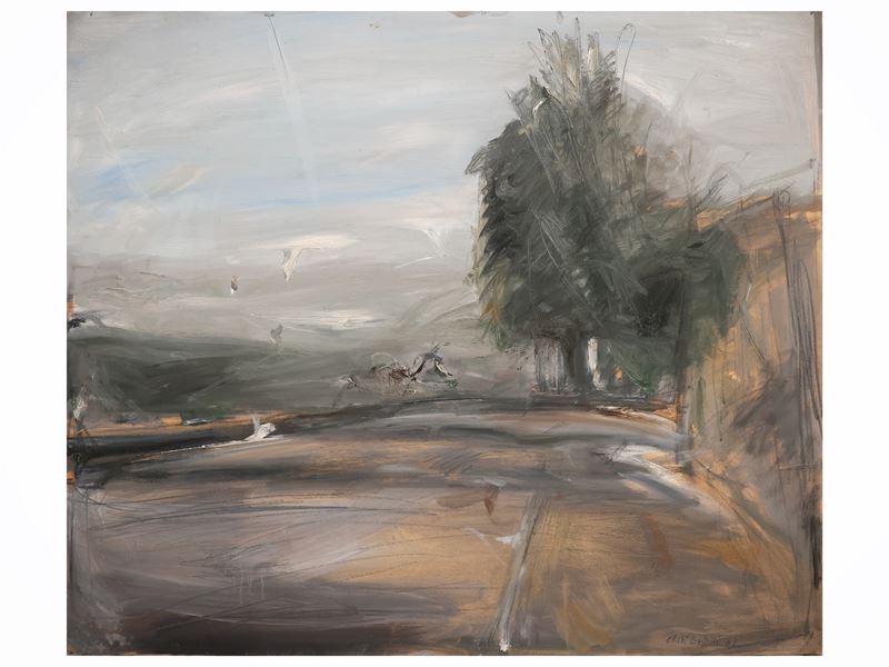 Paesaggi 1987/89