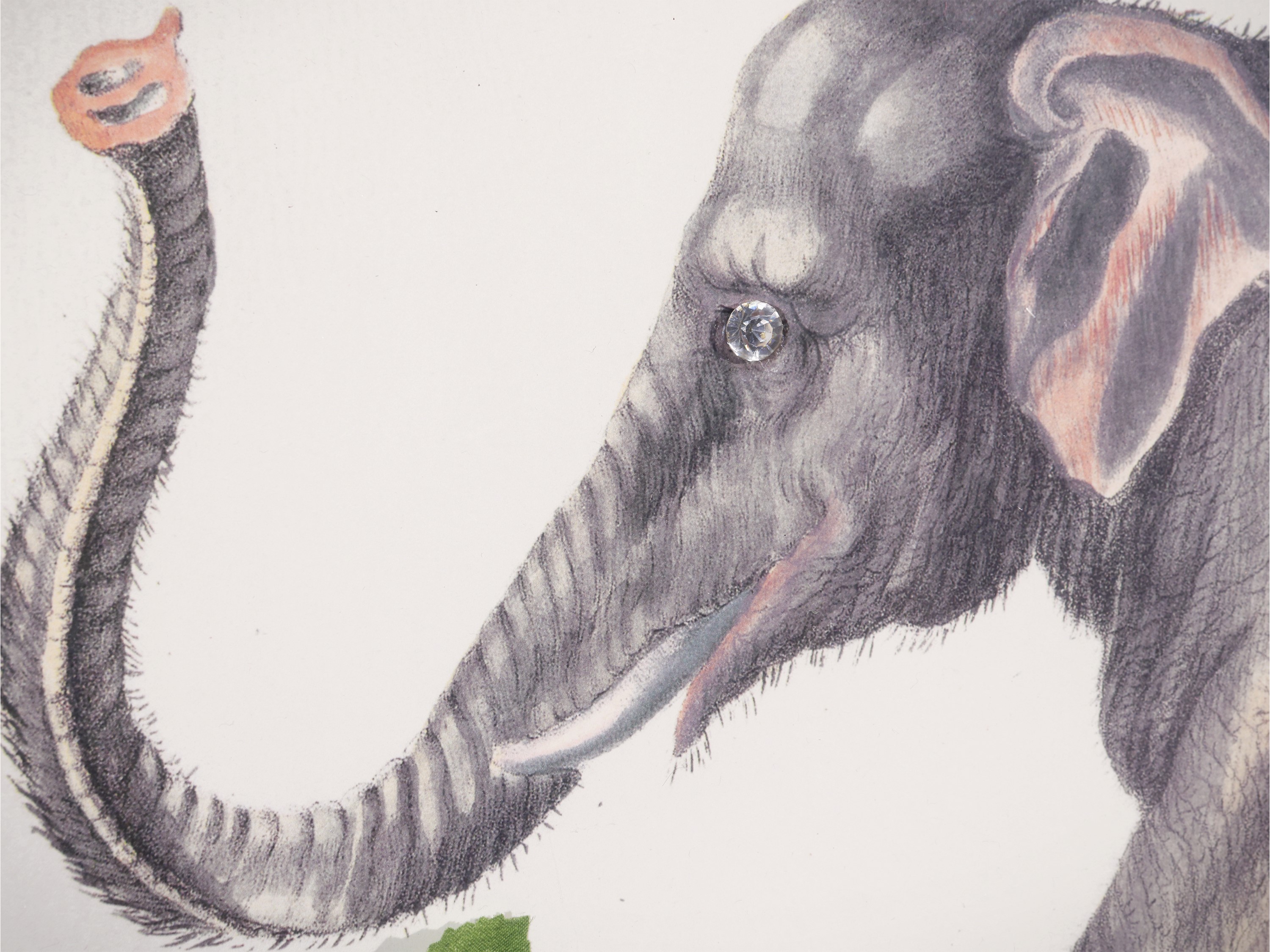 Serie di tre pannelli decorativi animalier