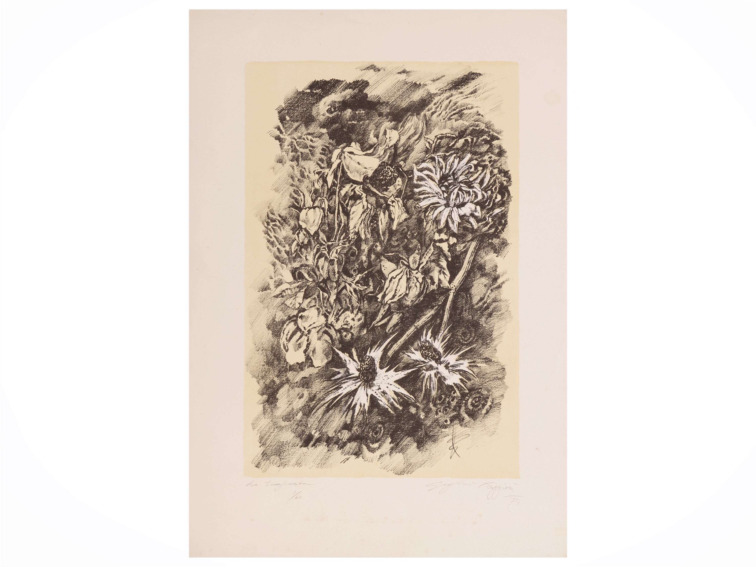 Lotto di grafica: Fernando Farulli, Attilio Steffoni, Goghi Faggioni e Wolfgang Schroder