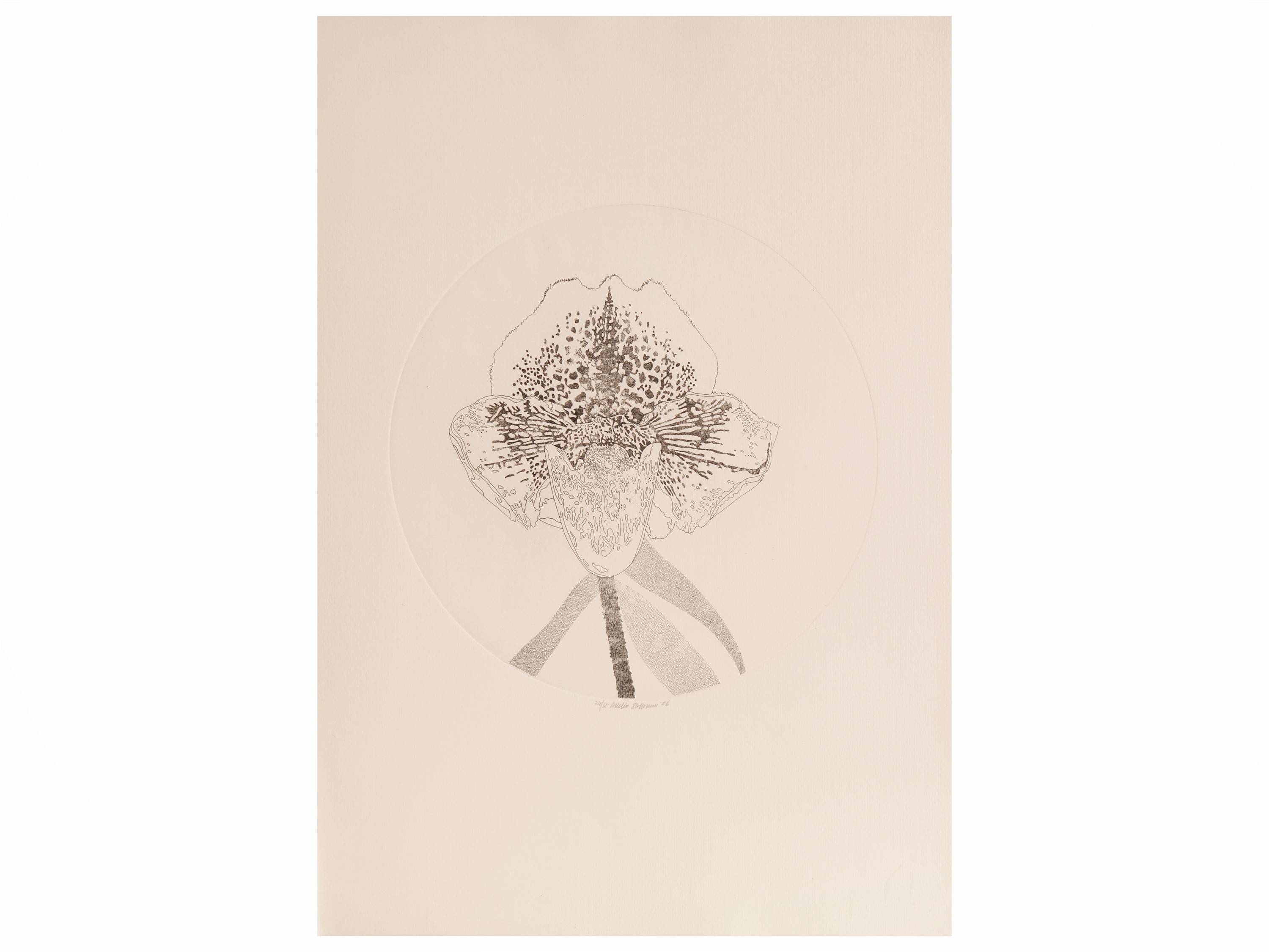 Lotto di grafica: Fernando Farulli, Attilio Steffoni, Goghi Faggioni e Wolfgang Schroder