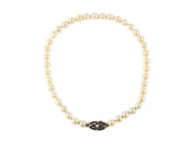 Collana Ad un Filo di Perle Coltivate Bianche
