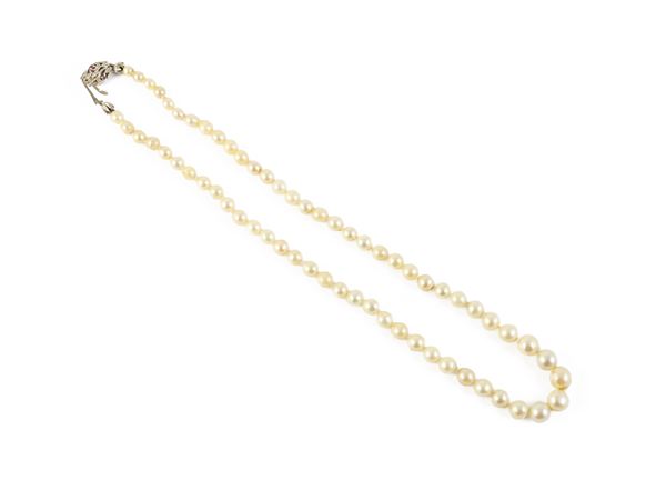 Collana ad un filo di perle bianche coltivate, fermatura in oro bianco  - Asta Gioielli e Orologi - Maison Bibelot - Casa d'Aste Firenze - Milano
