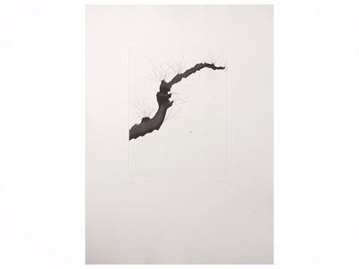 Carlo Mattioli, Da un albero; Ernesto Treccani, Margherita; Tono Zancanaro, Antiche cortigiane ve...