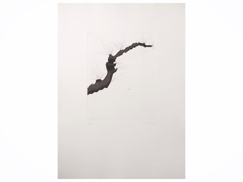 Carlo Mattioli, Da un albero; Ernesto Treccani, Margherita; Tono Zancanaro, Antiche cortigiane ve...