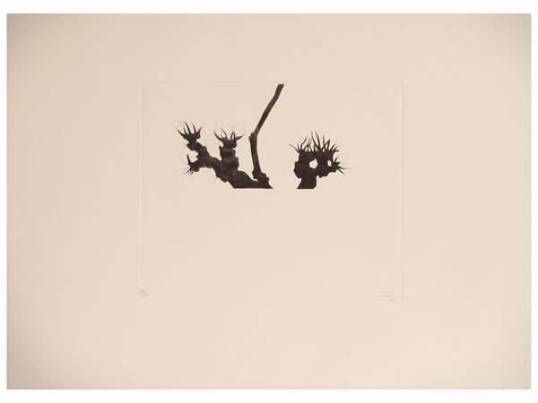 Lot of graphics: Carlo Mattioli and Giulia Napoleone