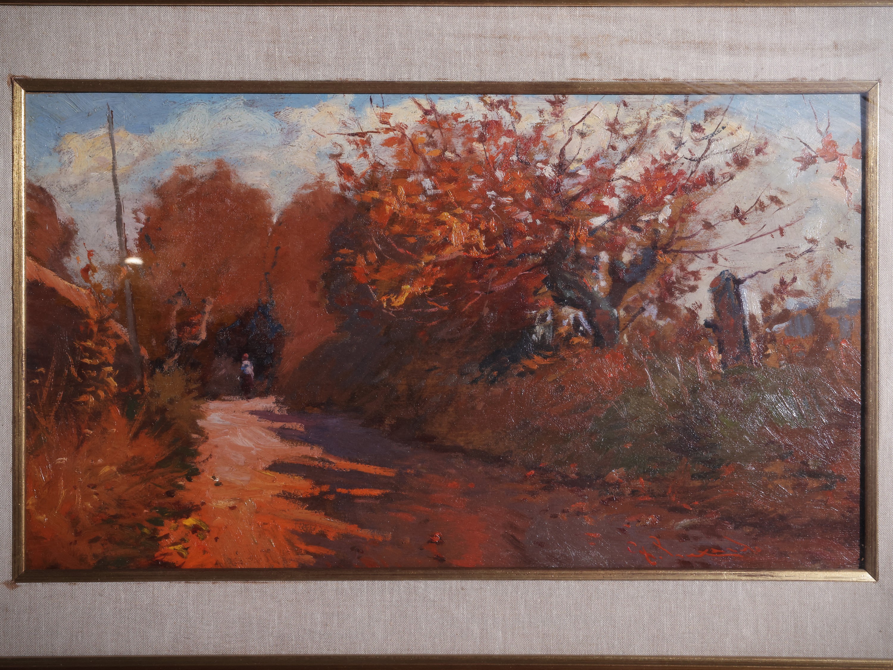 Albero in autunno 1974