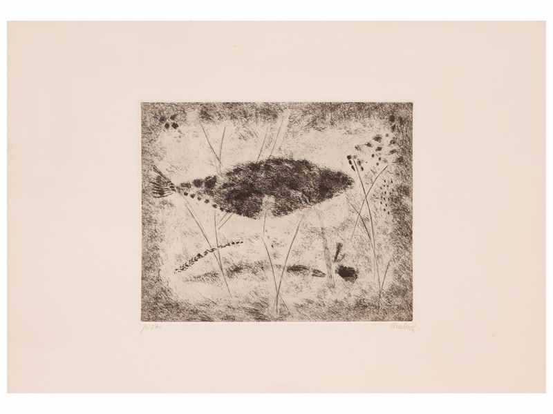 Lotto: Enrico Pulucci e Silvio Loffredo