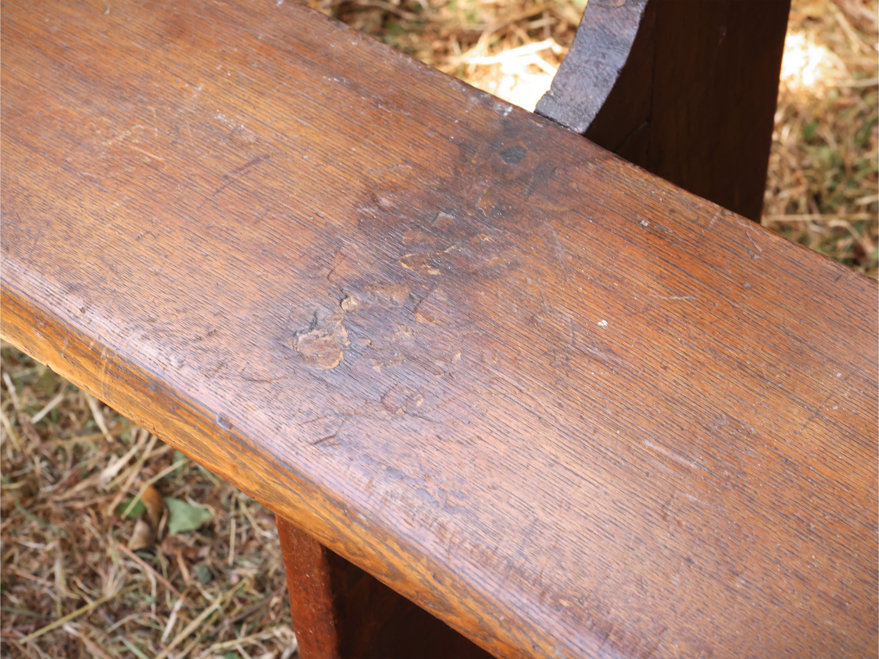 Panca rustica, legno tenero, inizio XX secolo