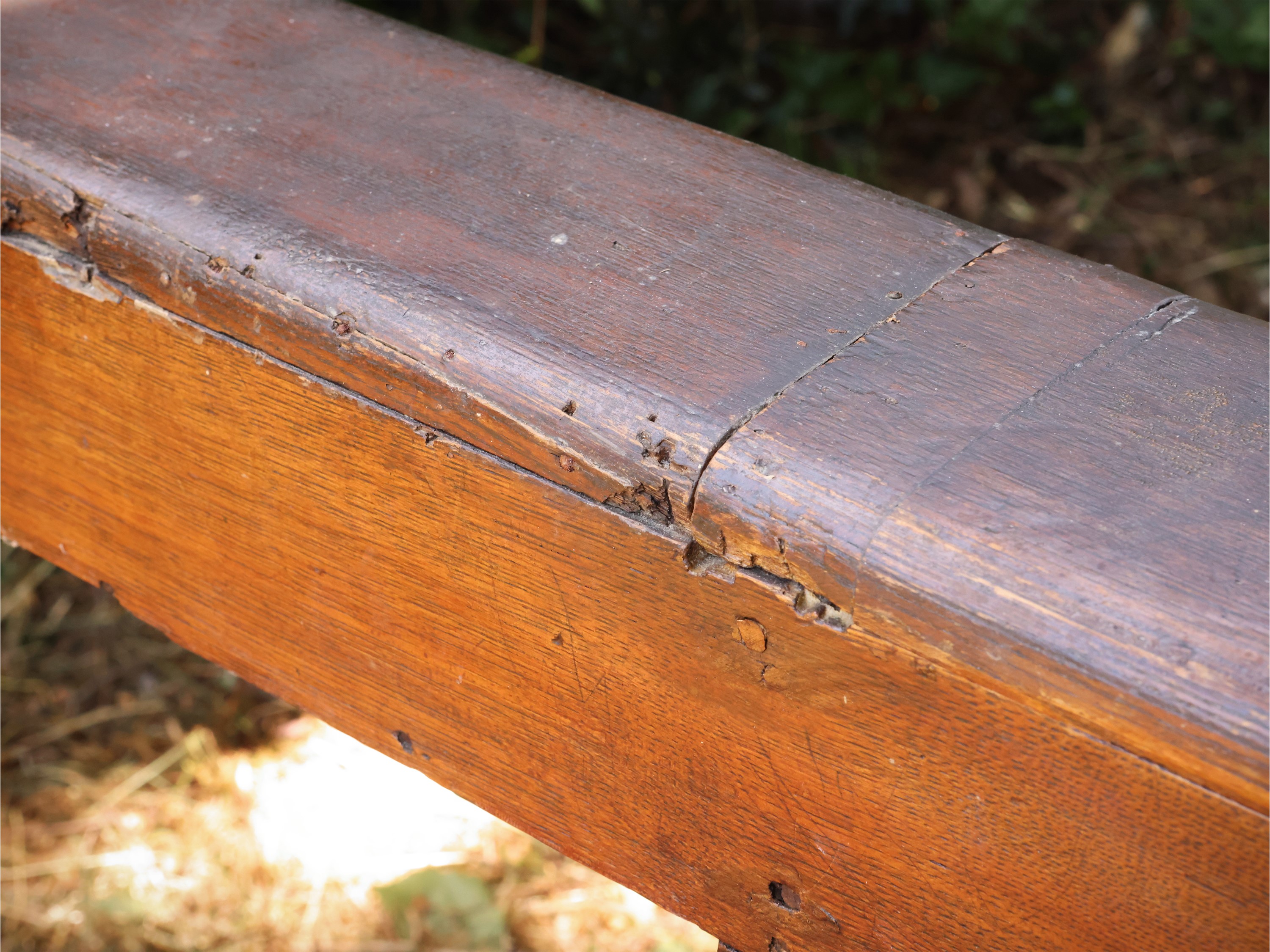 Panca rustica, legno tenero, inizio XX secolo