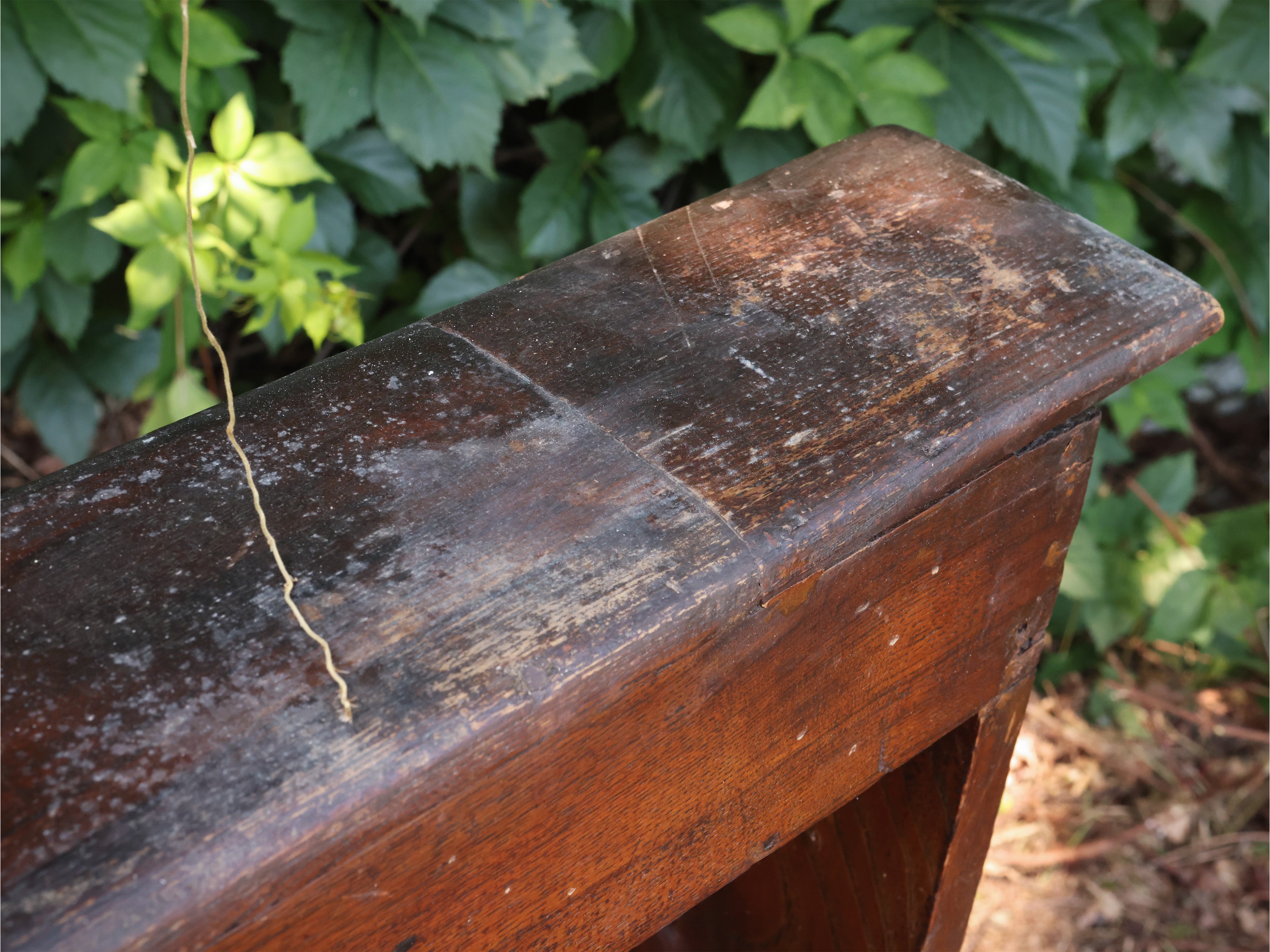 Panca rustica, legno tenero, inizio XX secolo