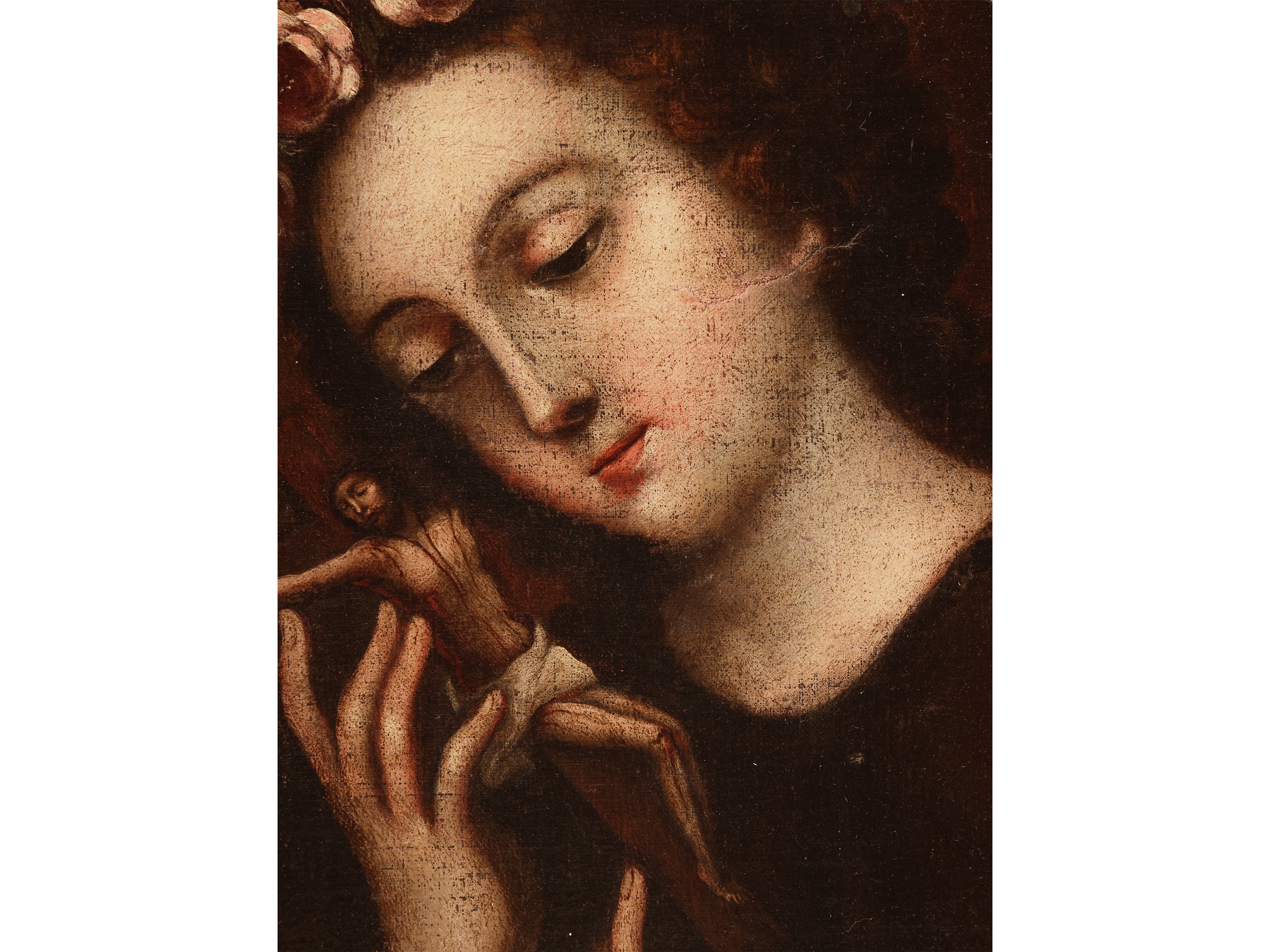 Santa Rosalia, olio su tela applicata a cartoncino, in cornice (XIX secolo)