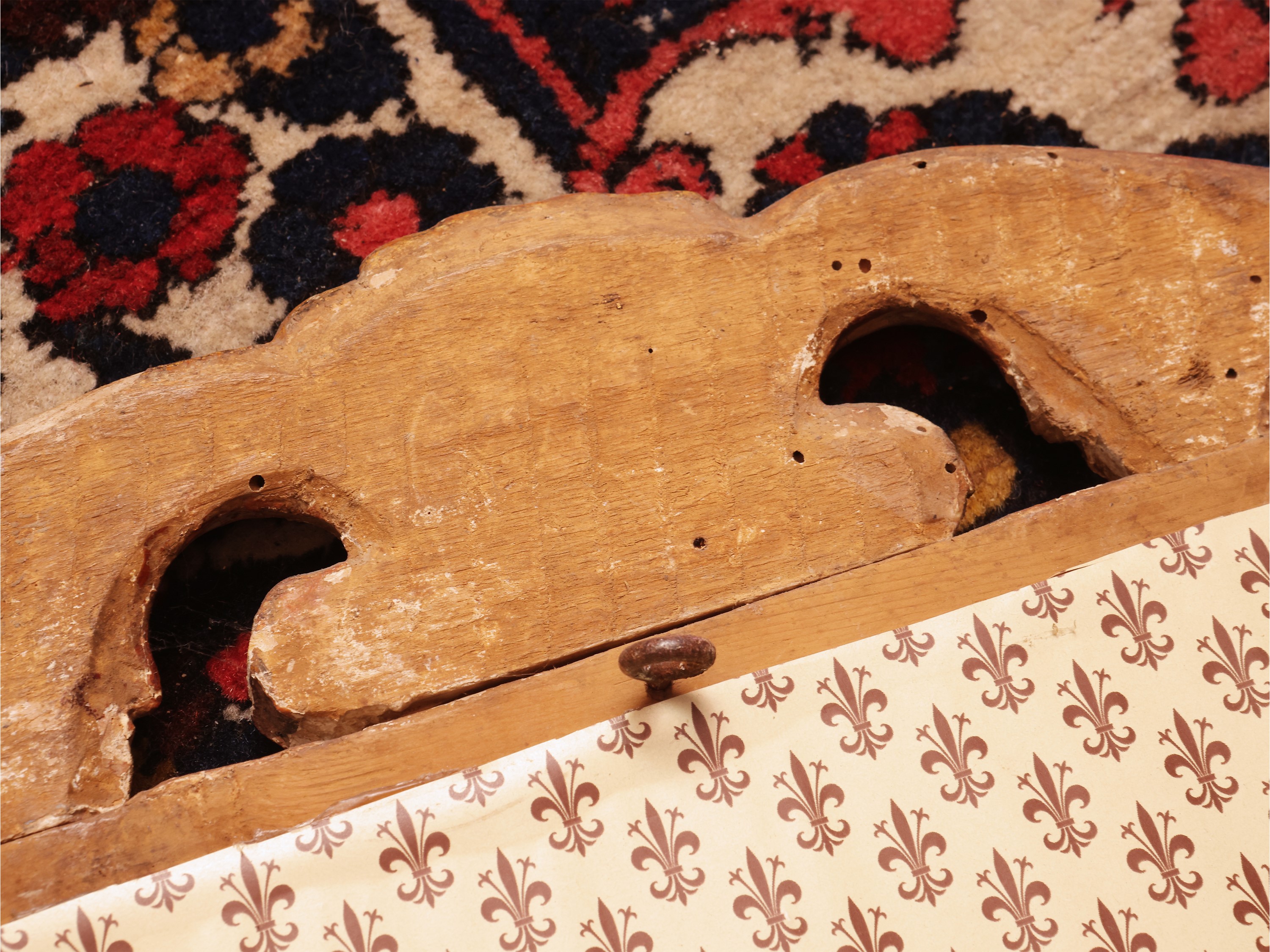 Curiosità da parete, cornice in legno dorato, XIX/XX secolo
