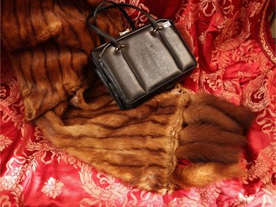 Stola in pelliccia e borsetta in lucertola nera (accessori vintage)