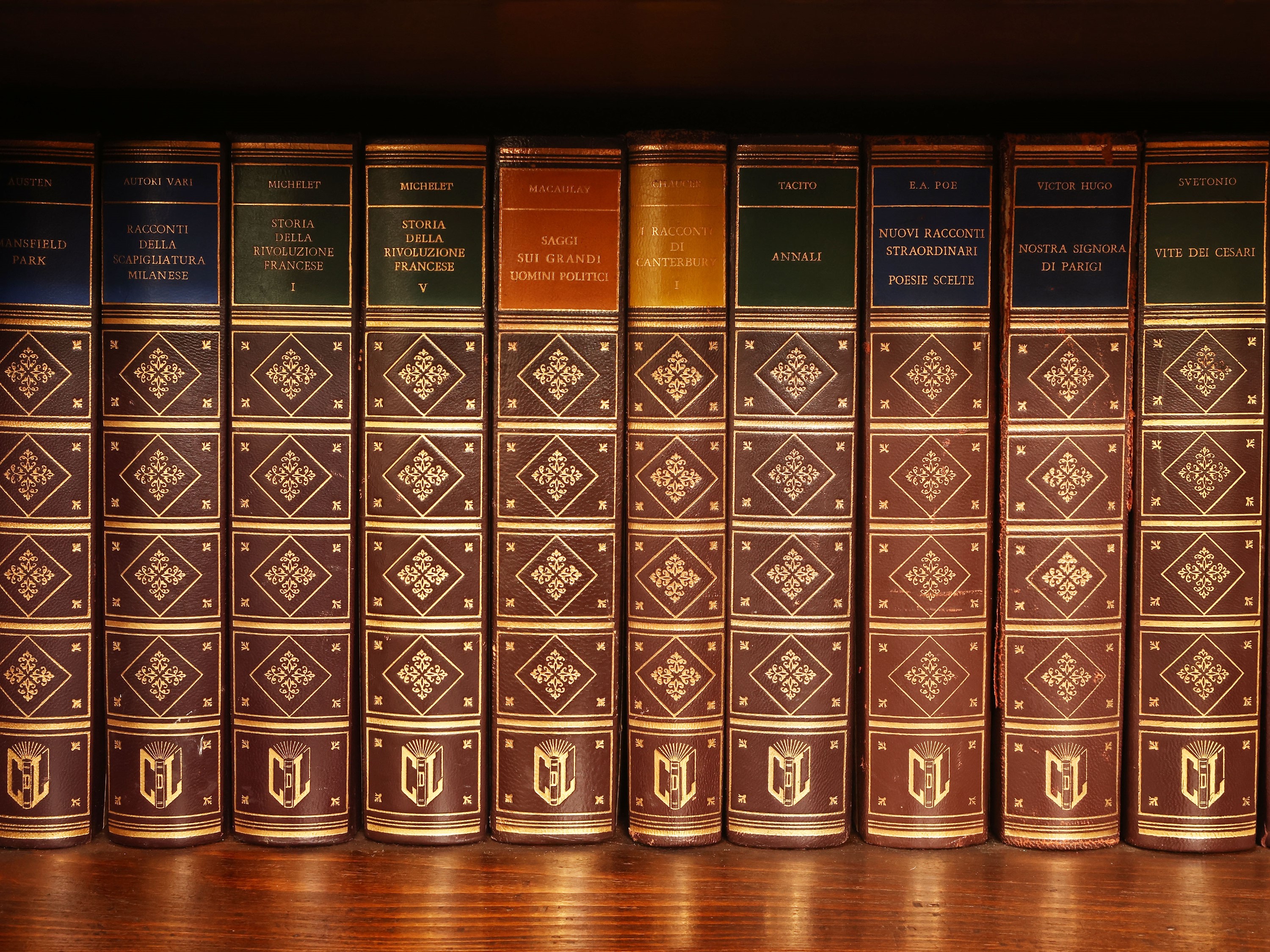 Biblioteca Letteraria e Storica, numerosi volumi rilegati in pelle ecologica