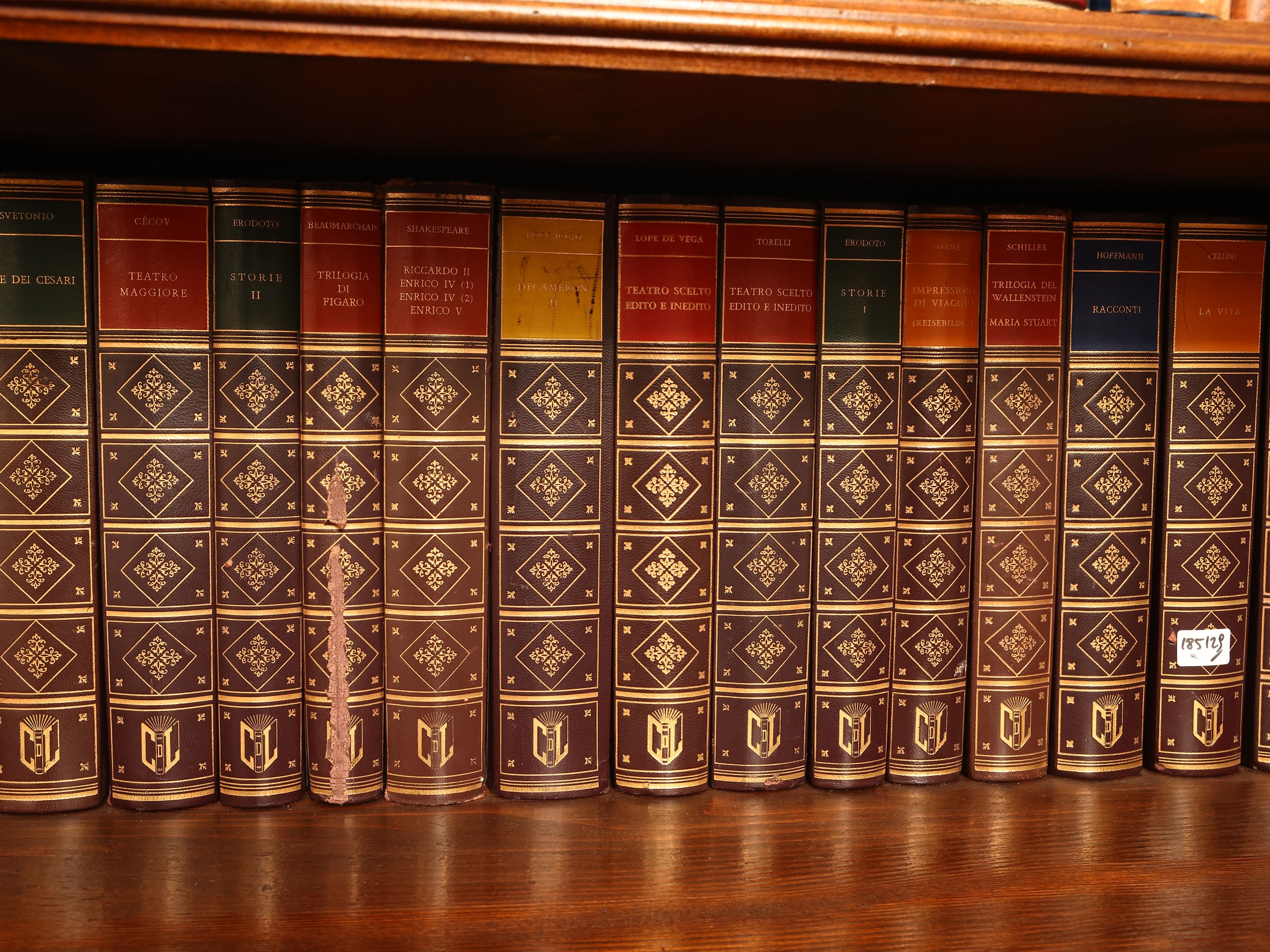 Biblioteca Letteraria e Storica, numerosi volumi rilegati in pelle ecologica