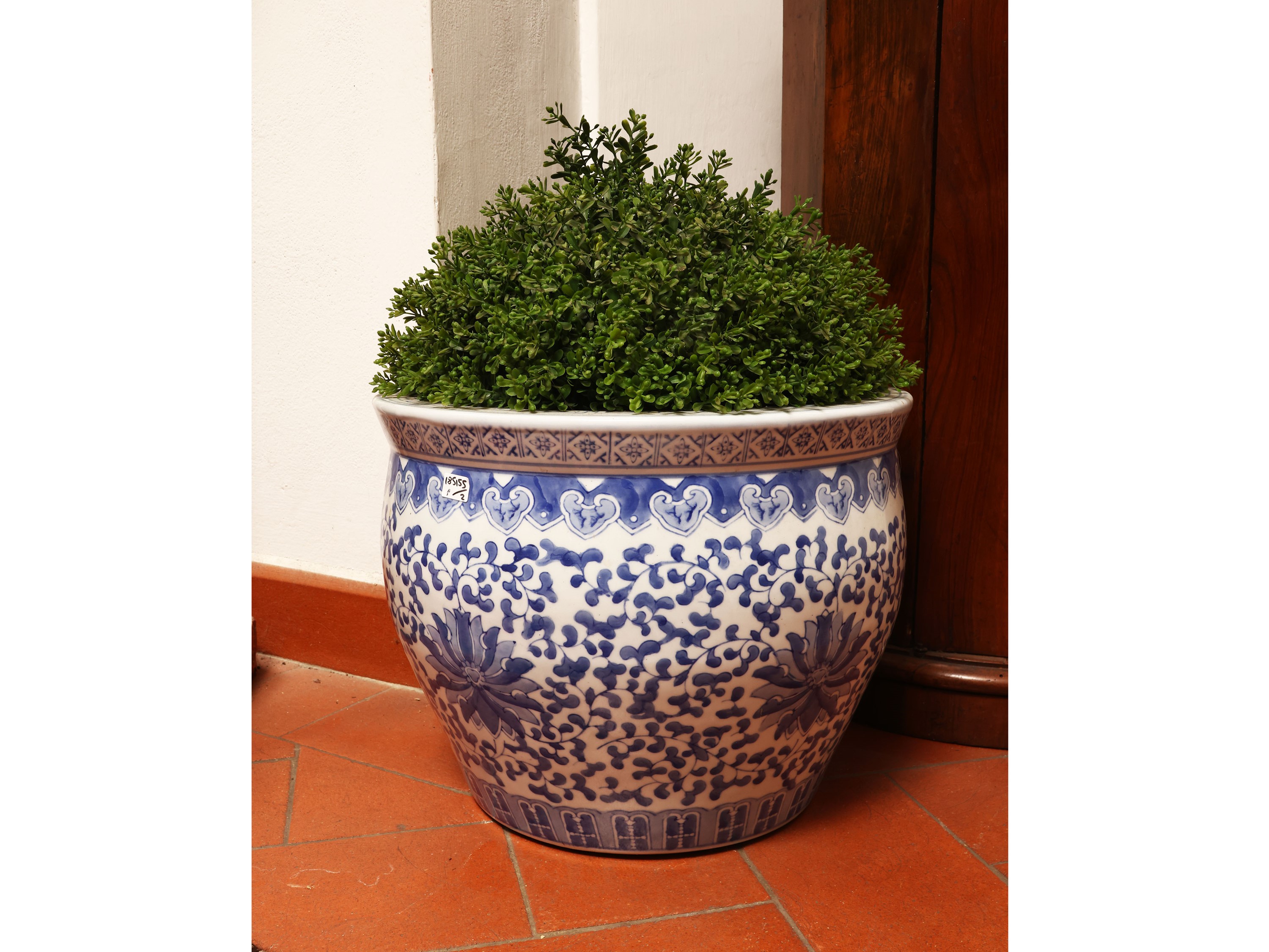 Coppia di cachepot in porcellana