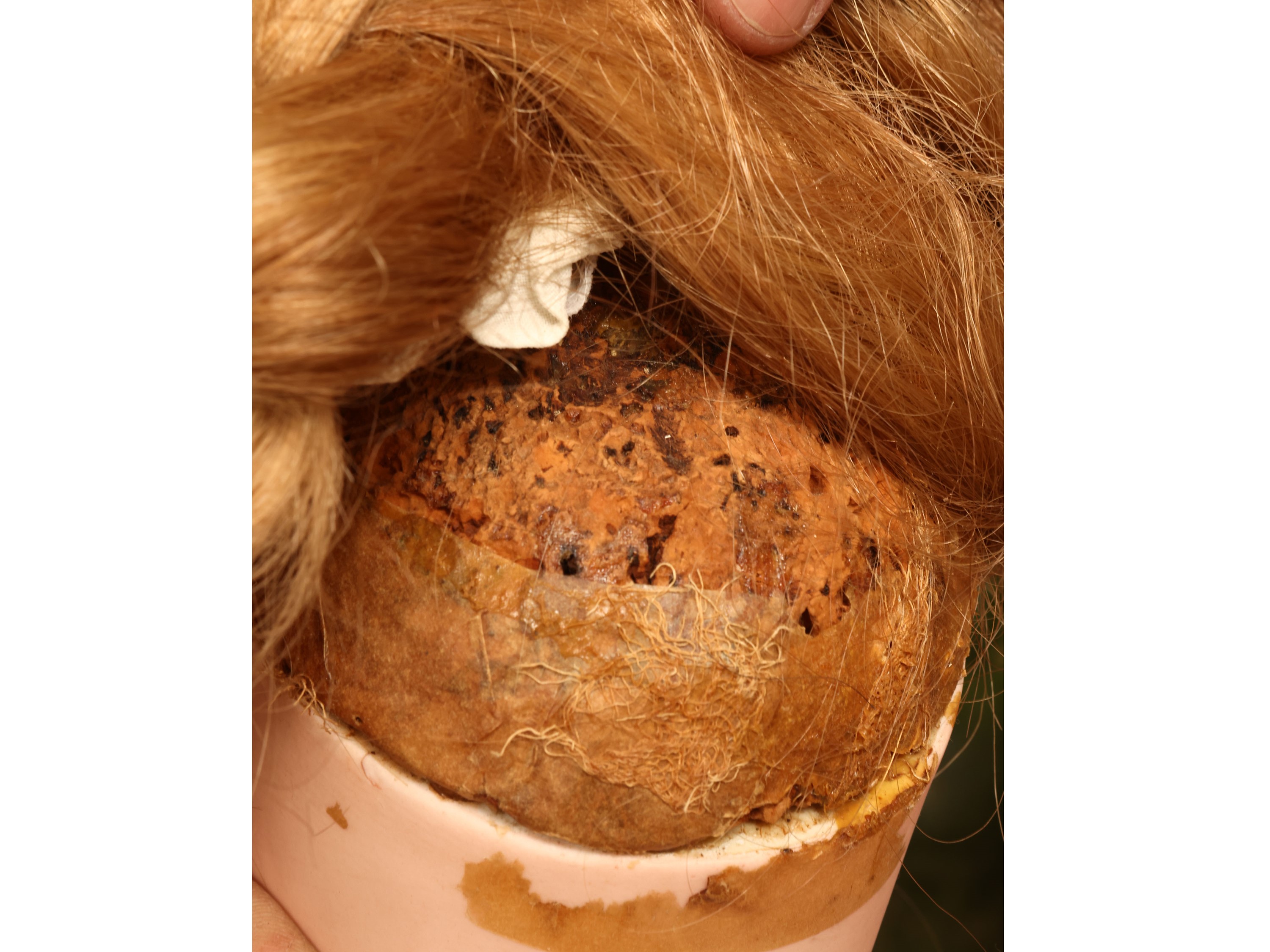 Bambola in Biscuit, Jumeau