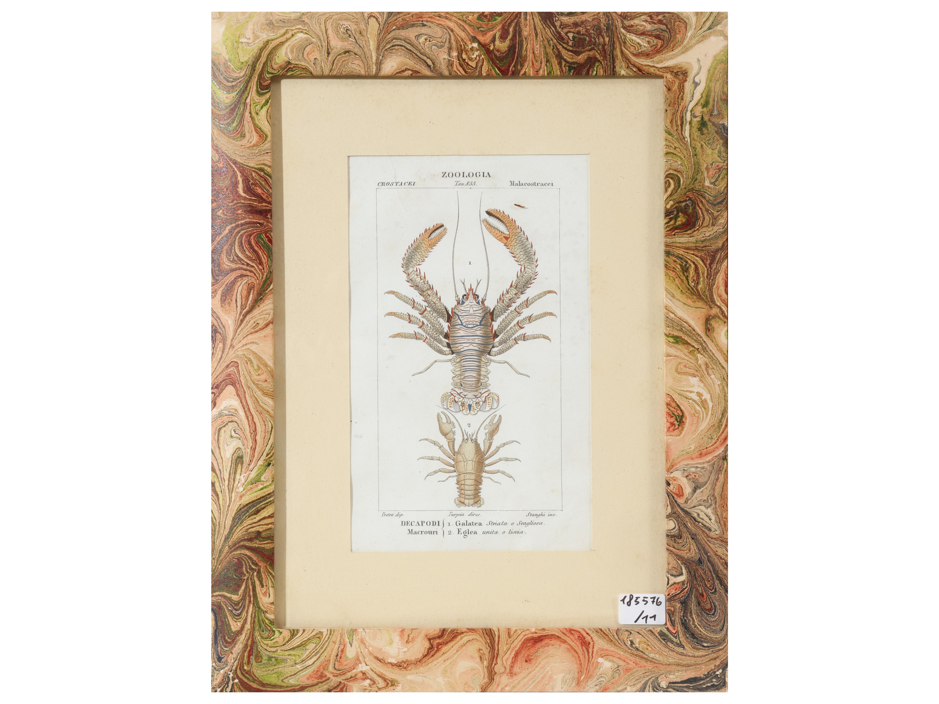 Jean Gabriel Pretre, Tavole zoologiche (raccolta di riproduzioni) in cornice