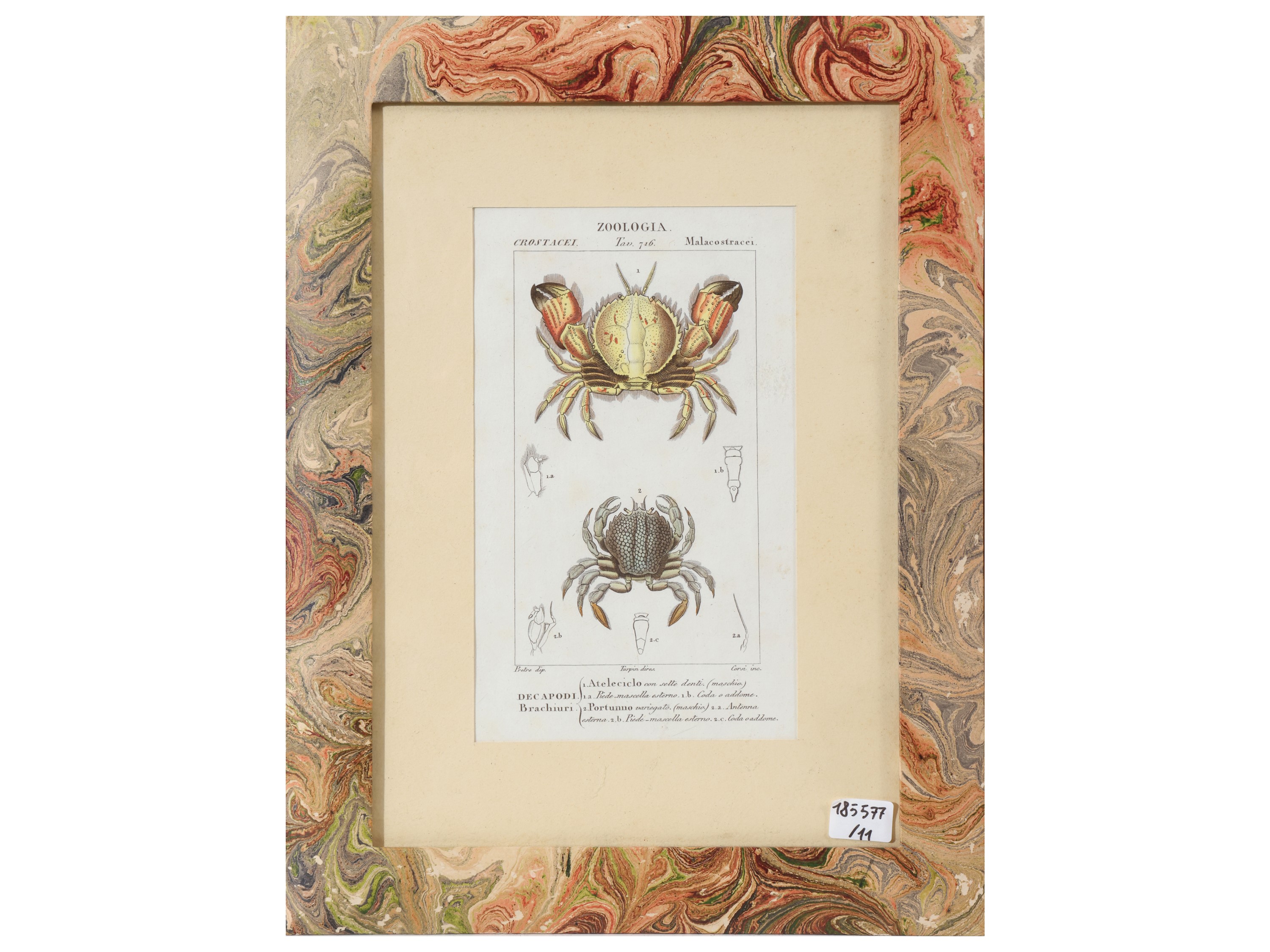 Jean Gabriel Pretre, Tavole zoologiche (riproduzioni da Dizionario di scienze naturali, Firenze 1...