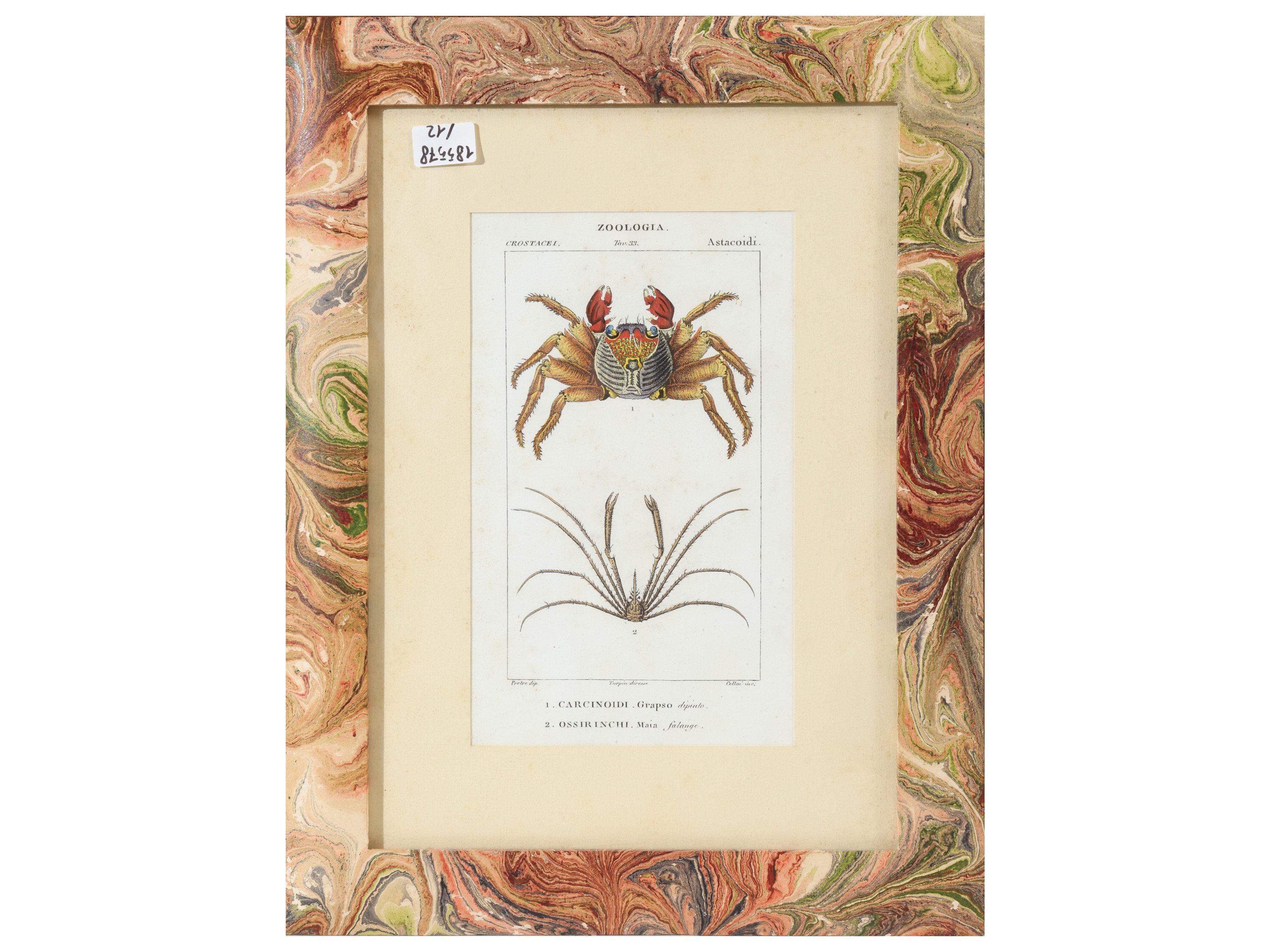 Jean-Gabriel Pretre, Tavole zoologiche da Dizionario di scienze naturali, Firenze 1837